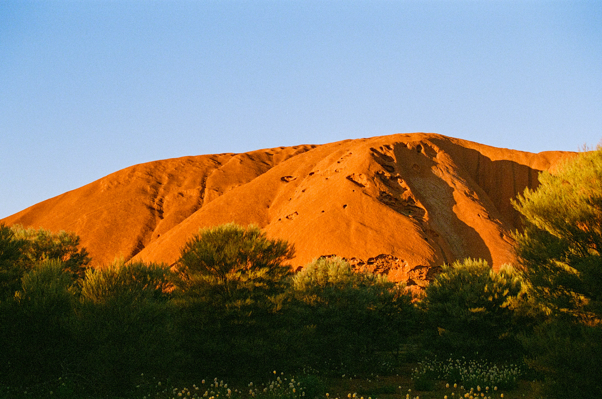 Kodak Portra 800