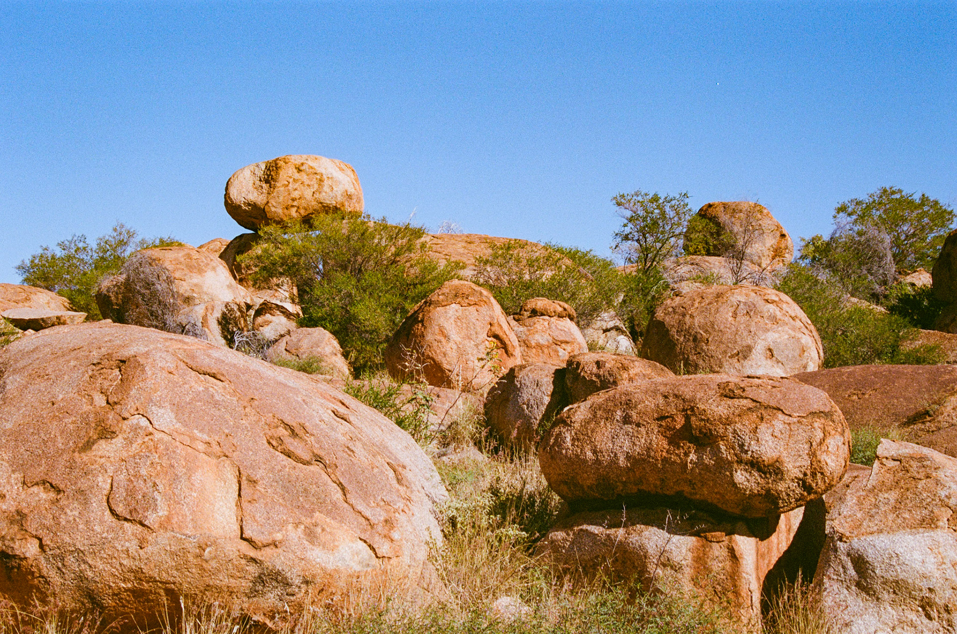 Kodak Portra 400