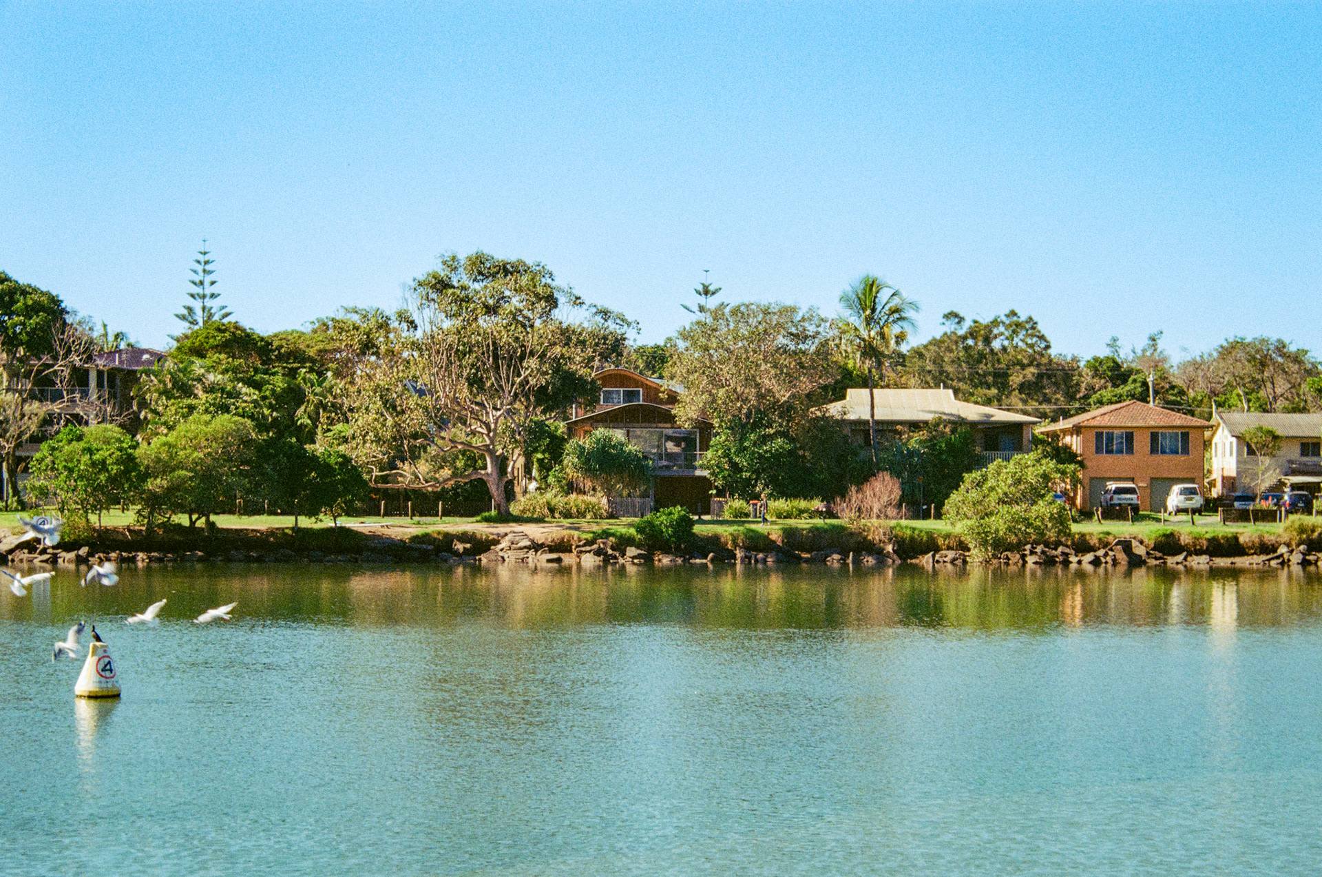 Fujifilm 200