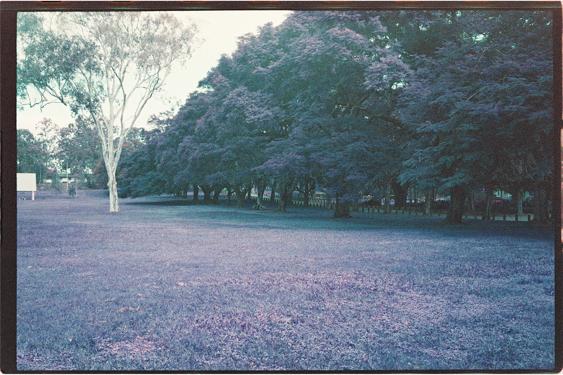 Lomochrome Purple 200