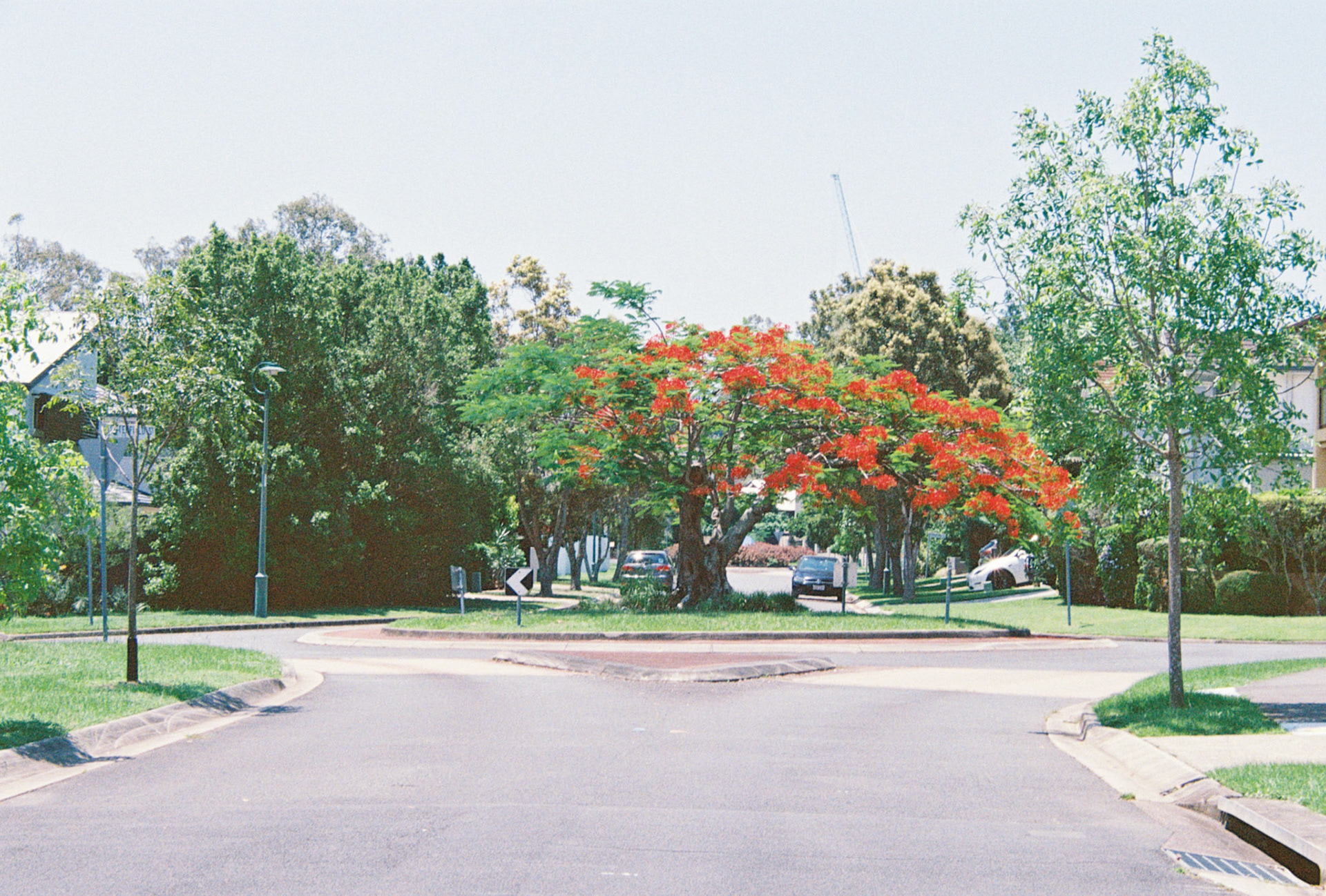 Kodak Ultramax 400