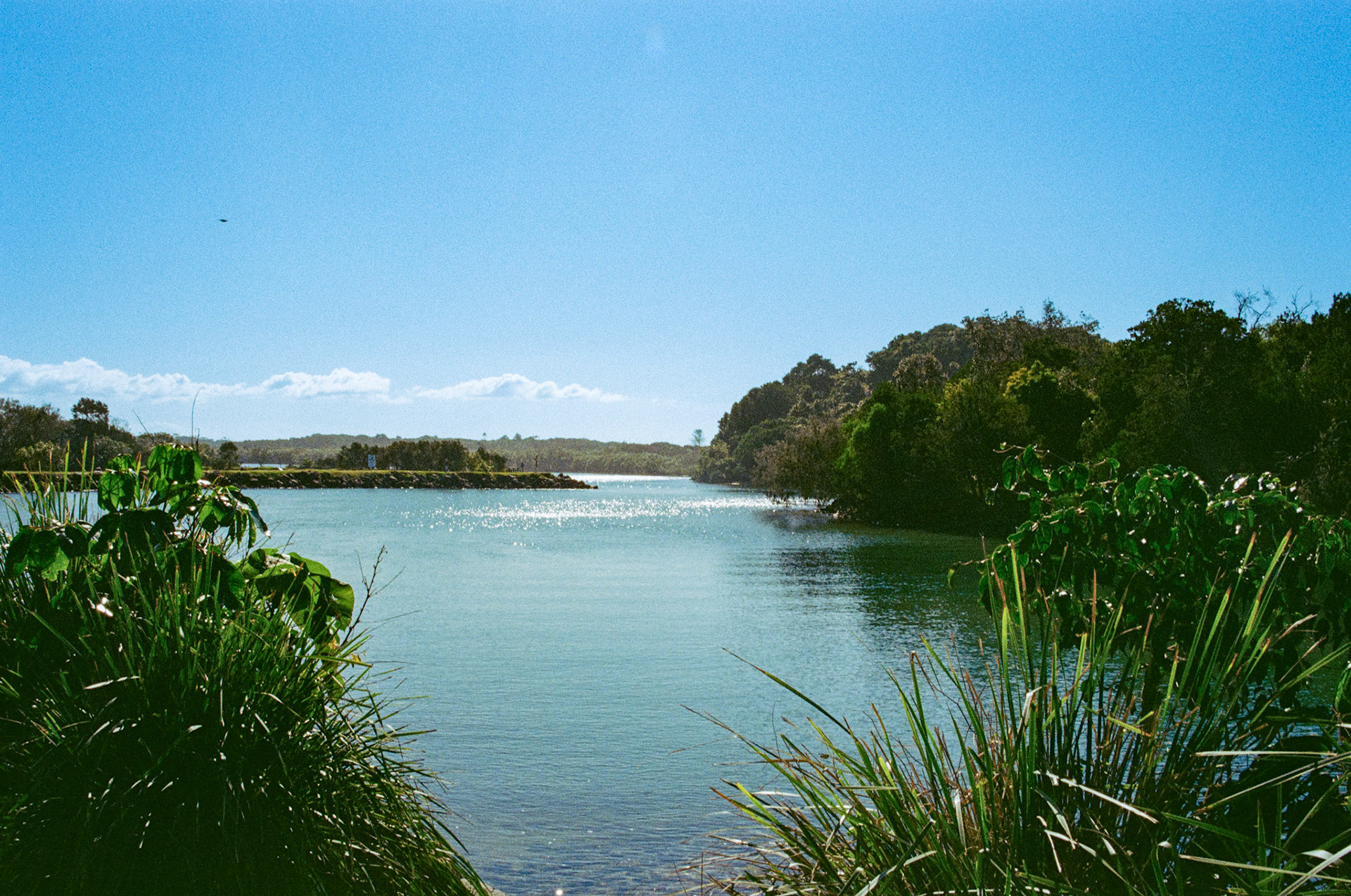 Fujifilm 200