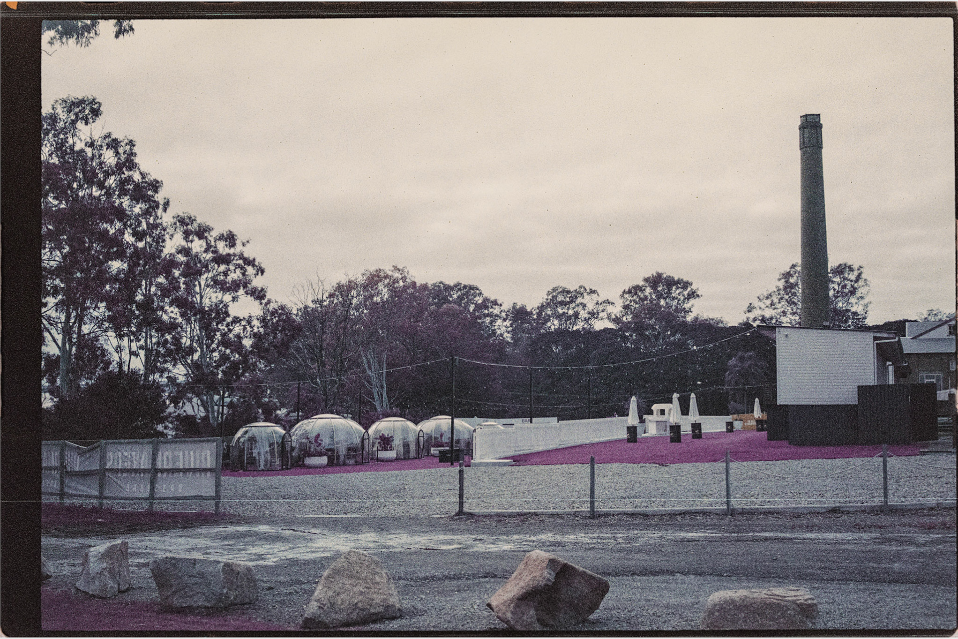 Lomochrome Purple 200