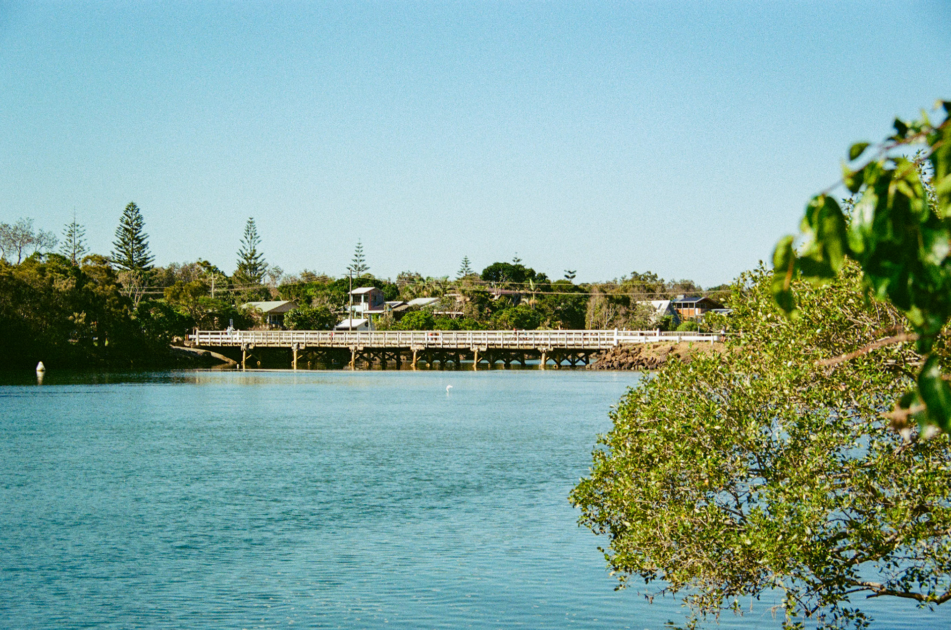 Fujifilm 200