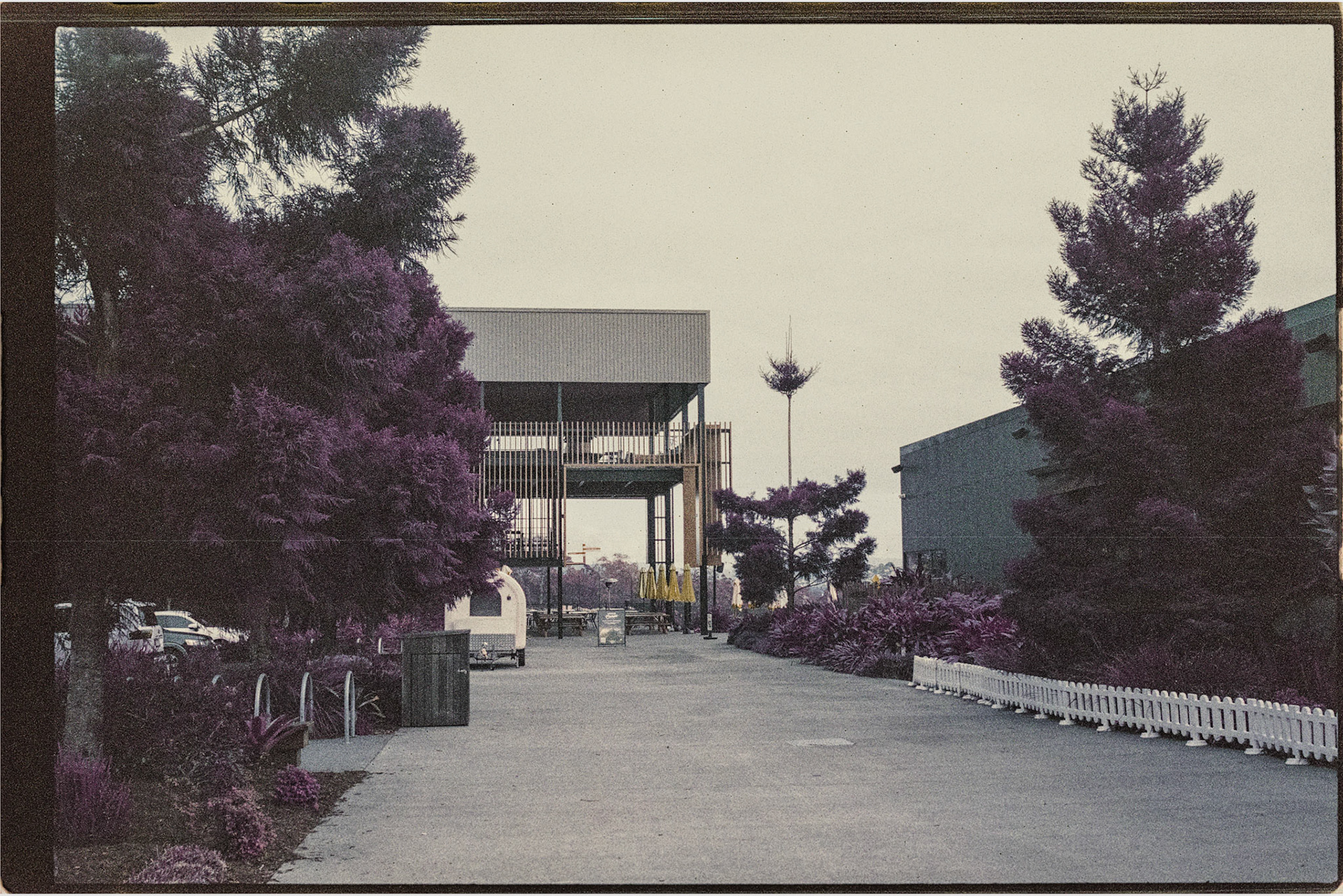 Lomochrome Purple 200