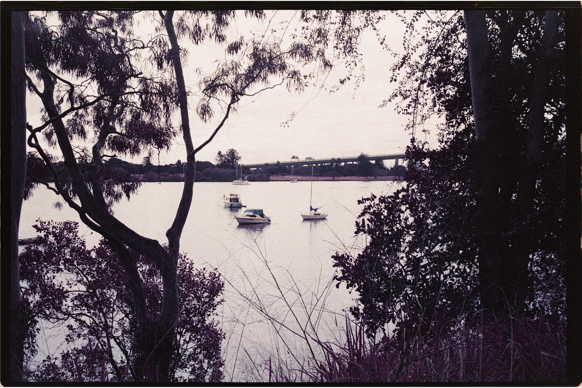Lomochrome Purple 200