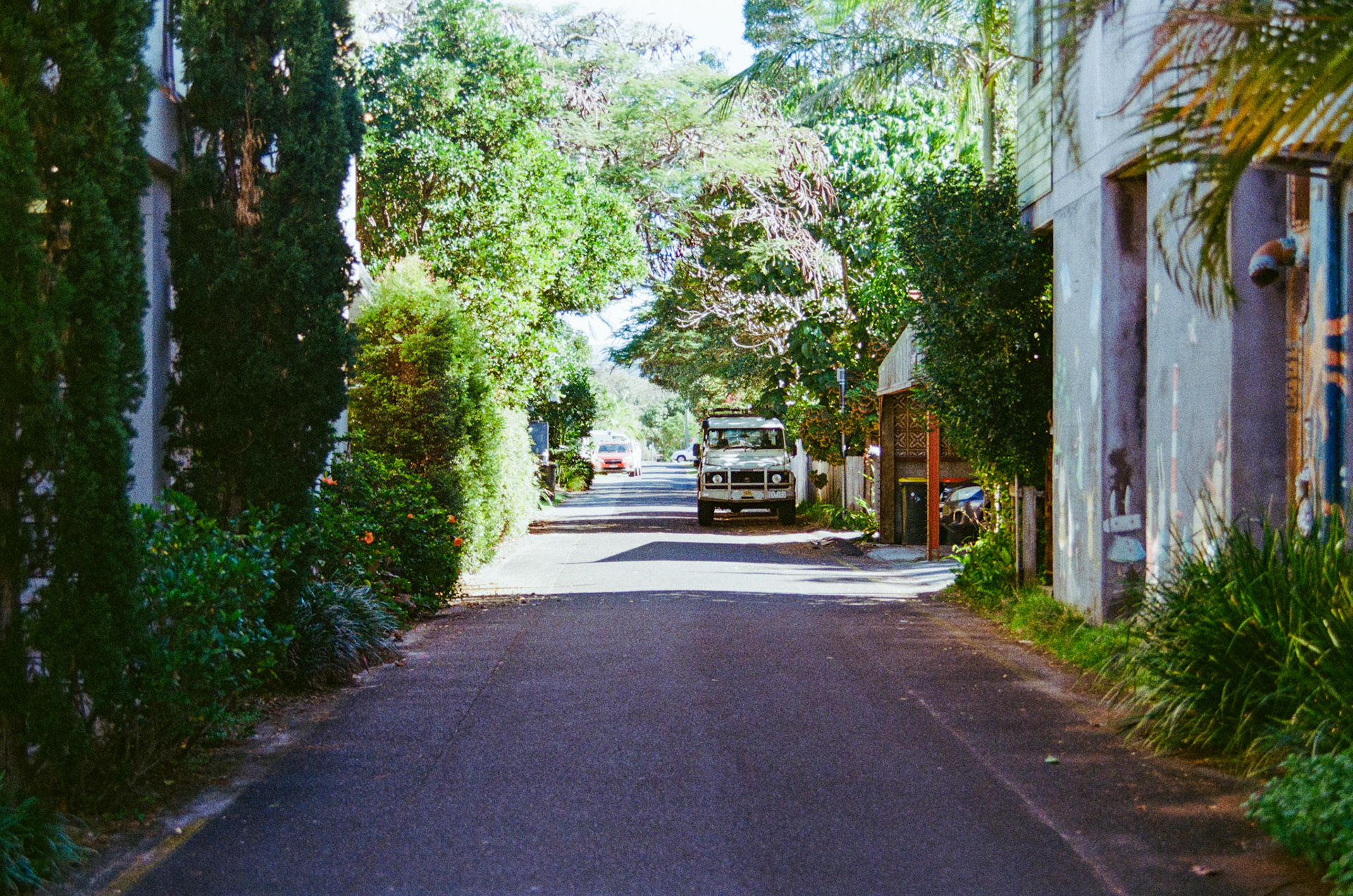 Fujifilm 200