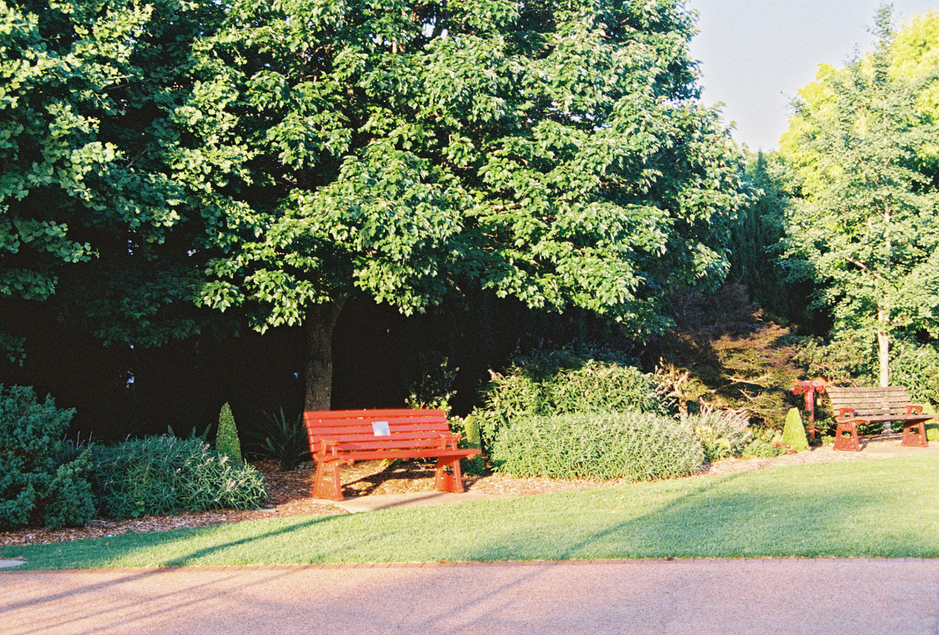 Kodak Ultramax 400