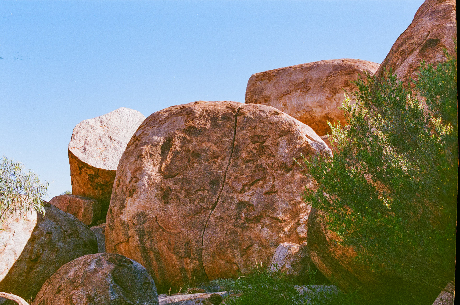 Kodak Portra 400
