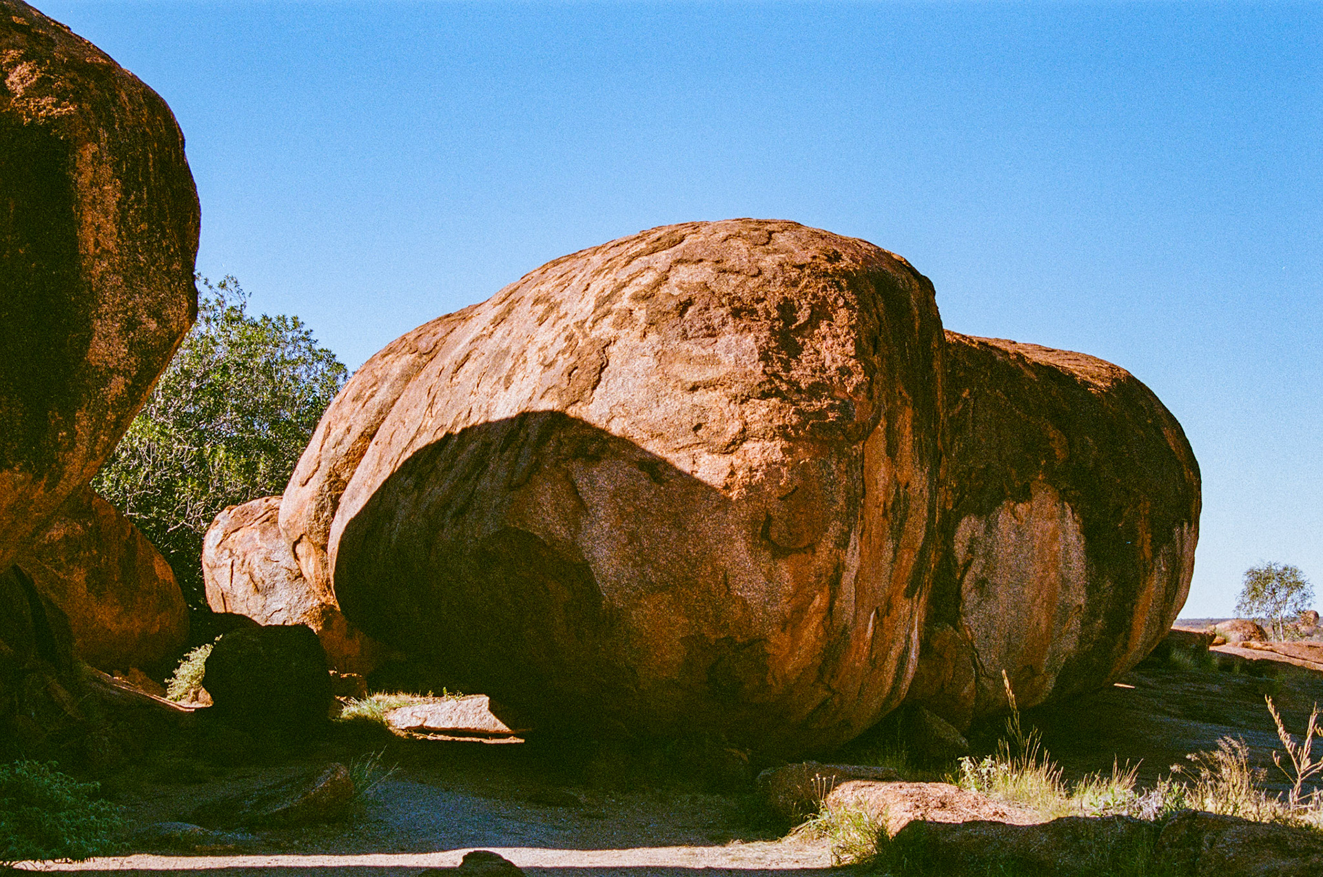 Kodak Portra 400