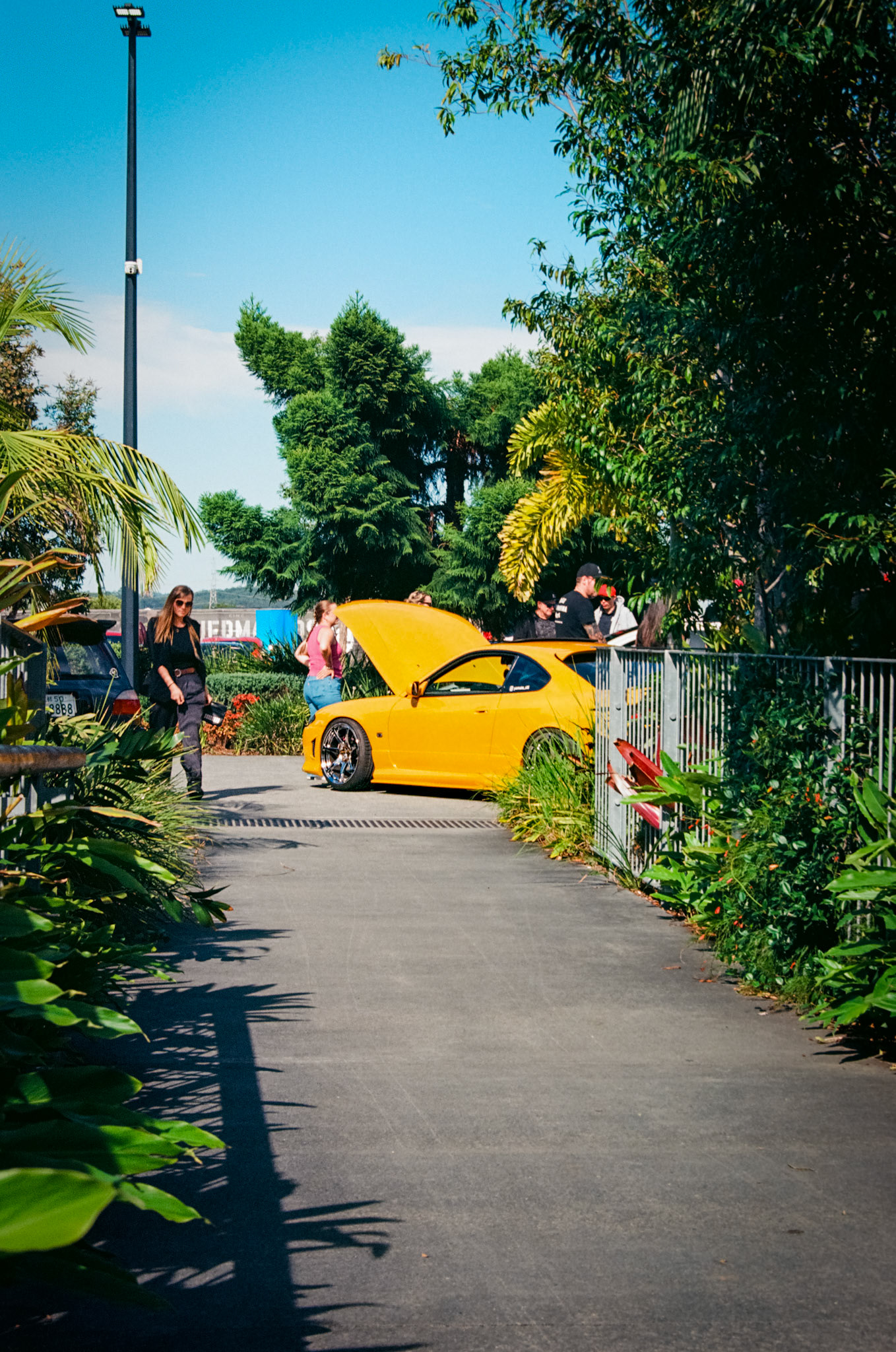 Kodak Ektar 100