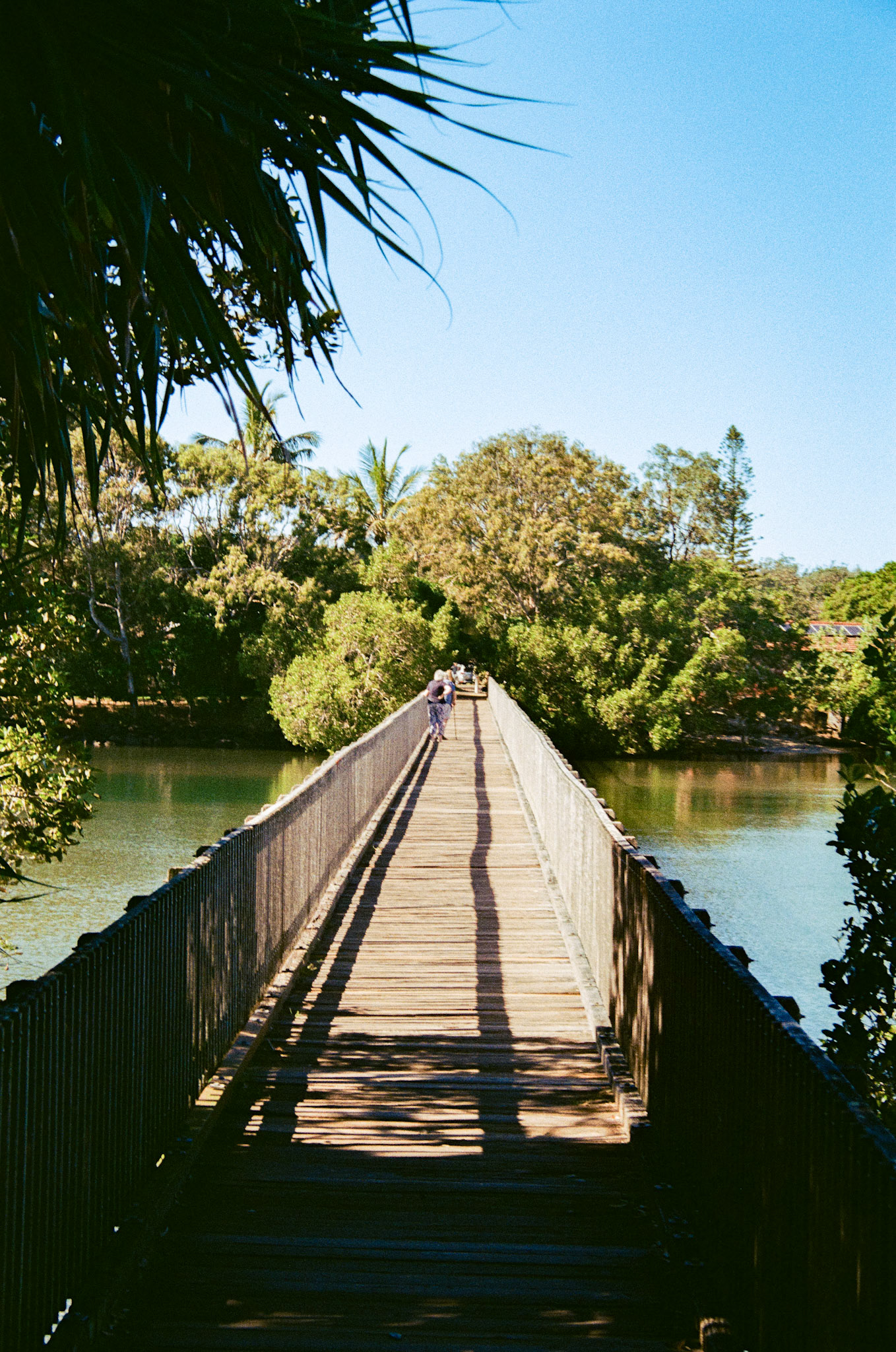 Fujifilm 200