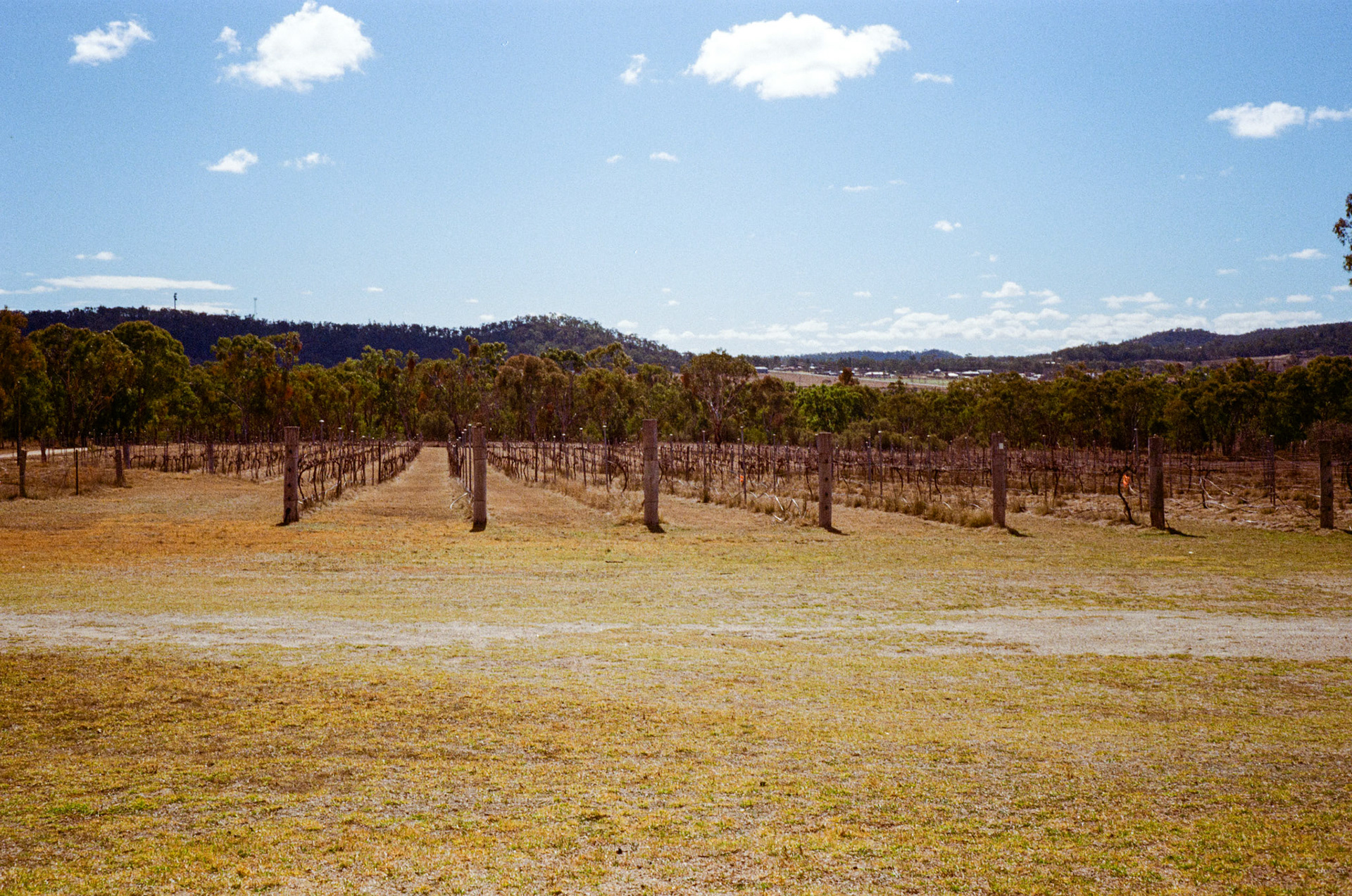Kodak Gold 200