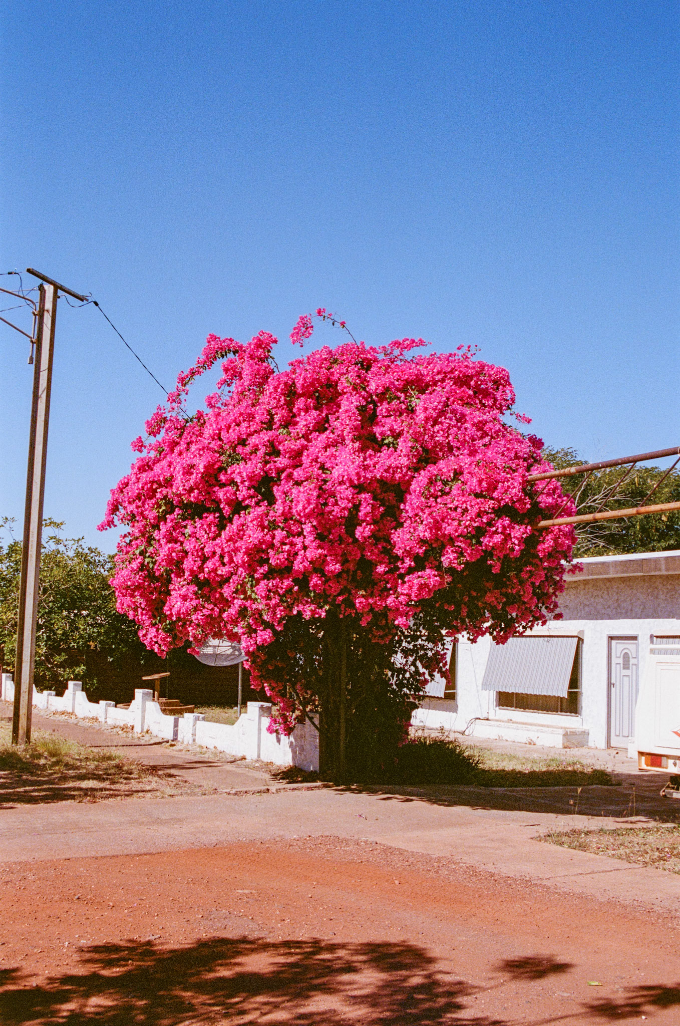 Kodak Portra 400