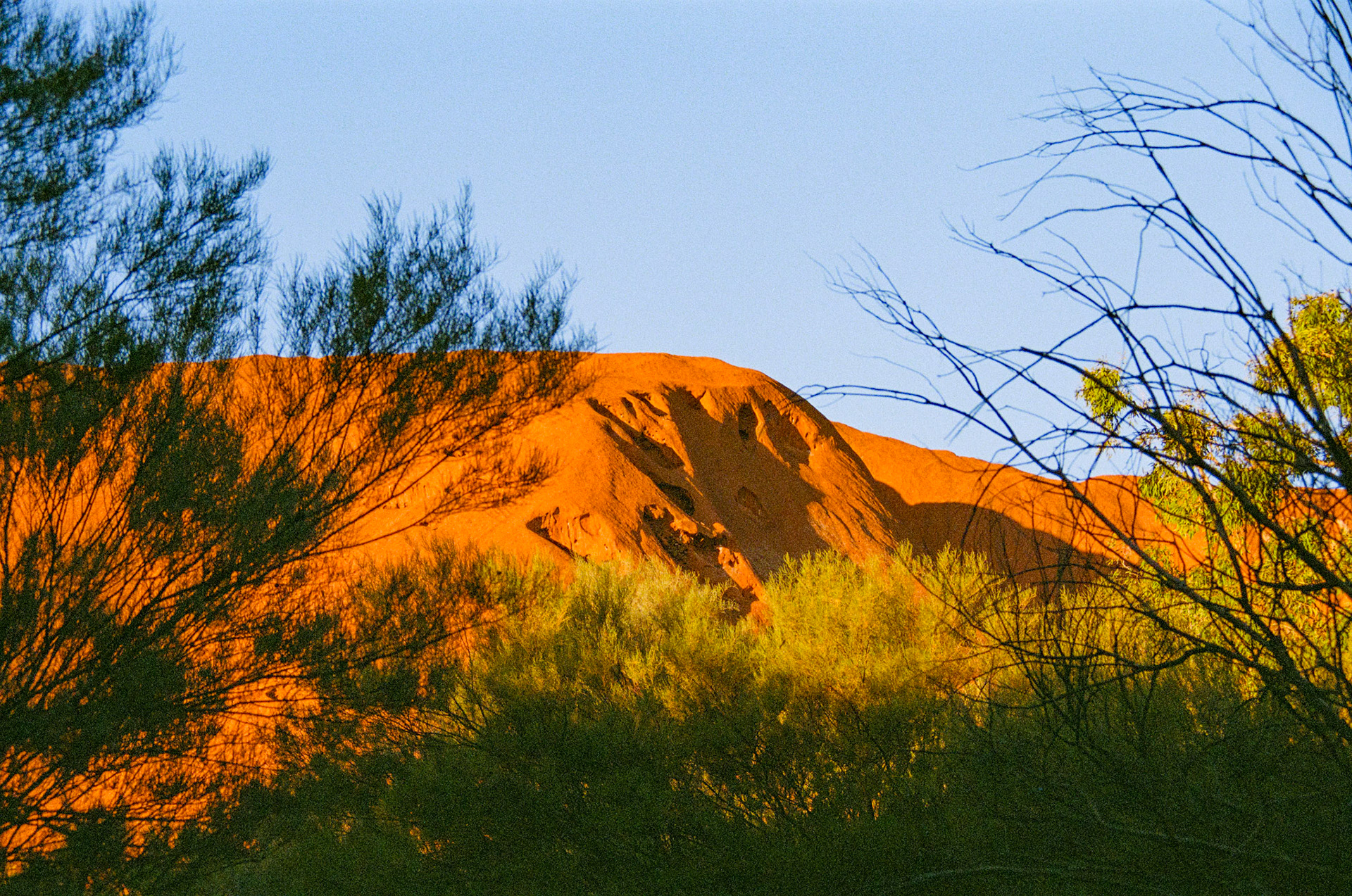 Kodak Portra 800