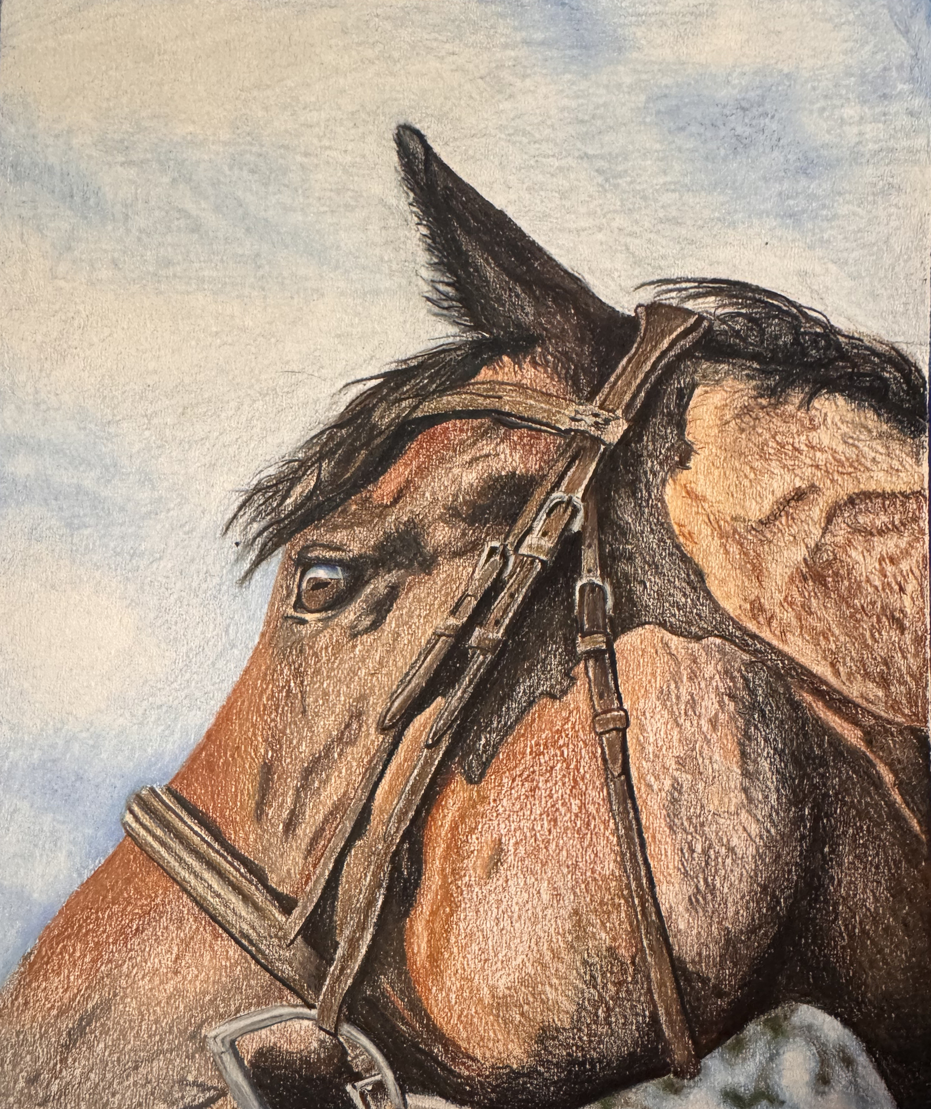 Colored pencil, 2025-Present