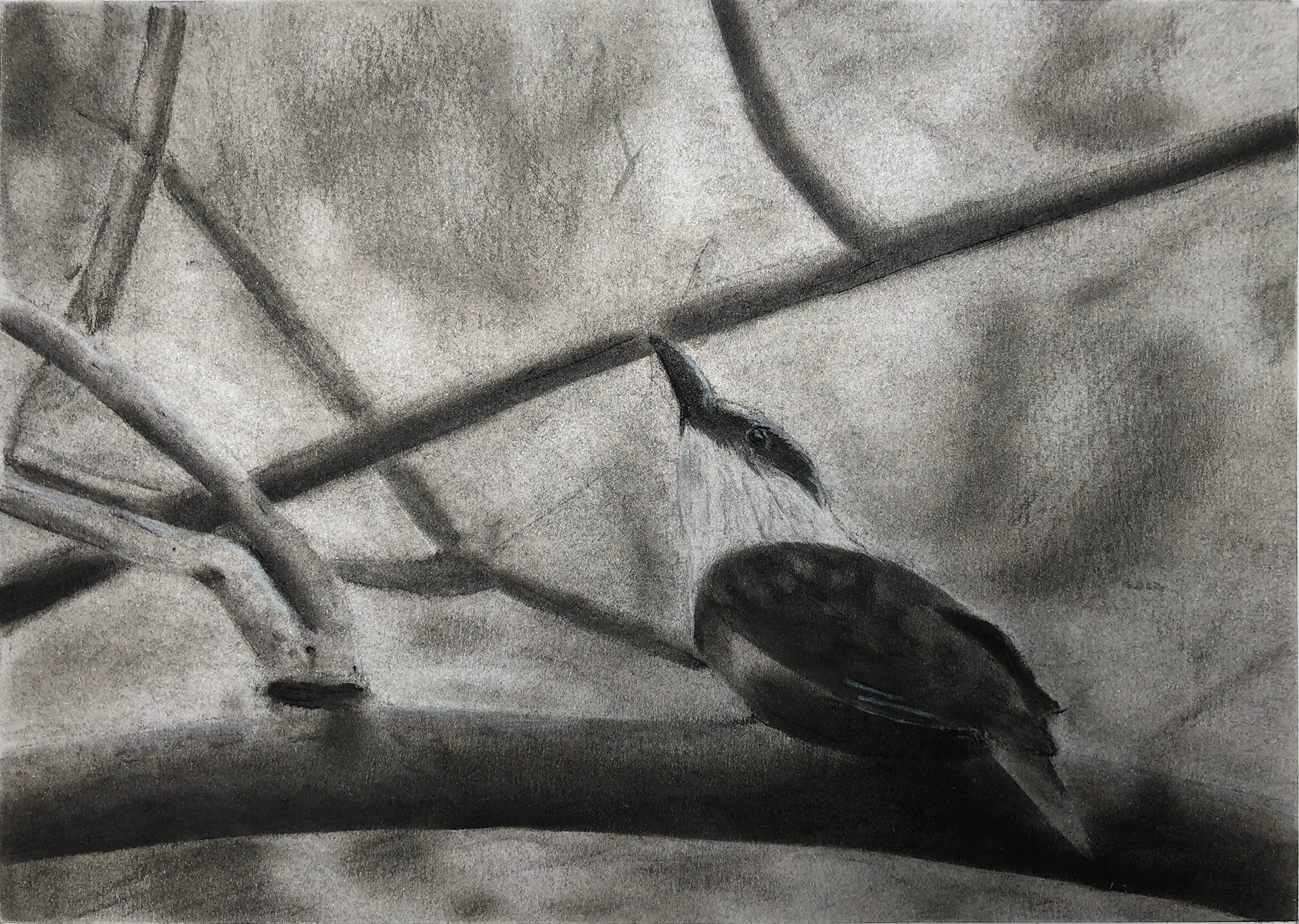 Charcoal, 2022