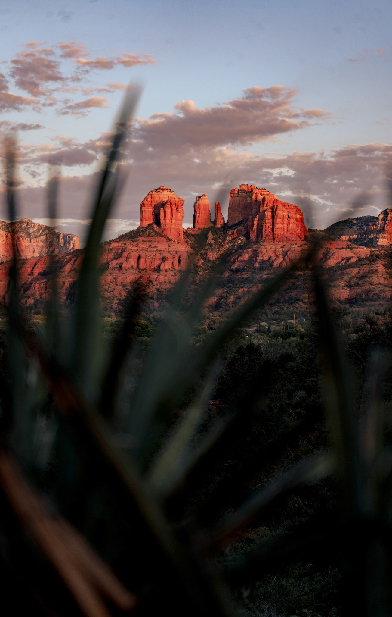 SEDONA TRIP