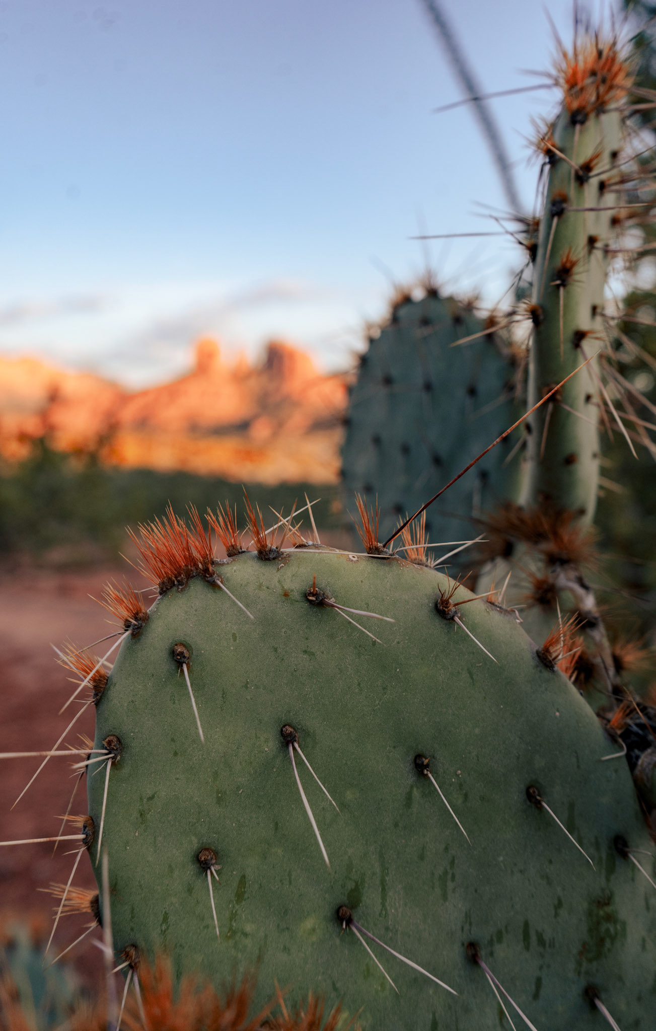 SEDONA TRIP