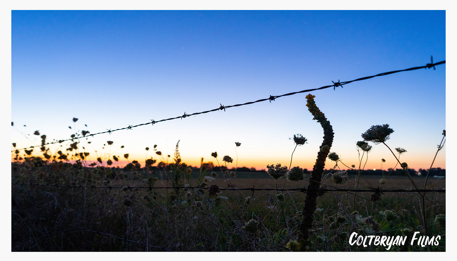 Summer 2019-Sony a7iii