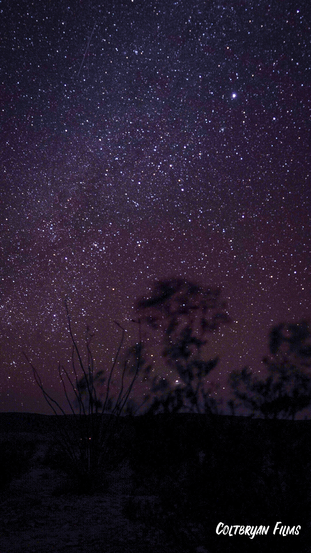 Spring 2020-BigBend-Sonya7iii