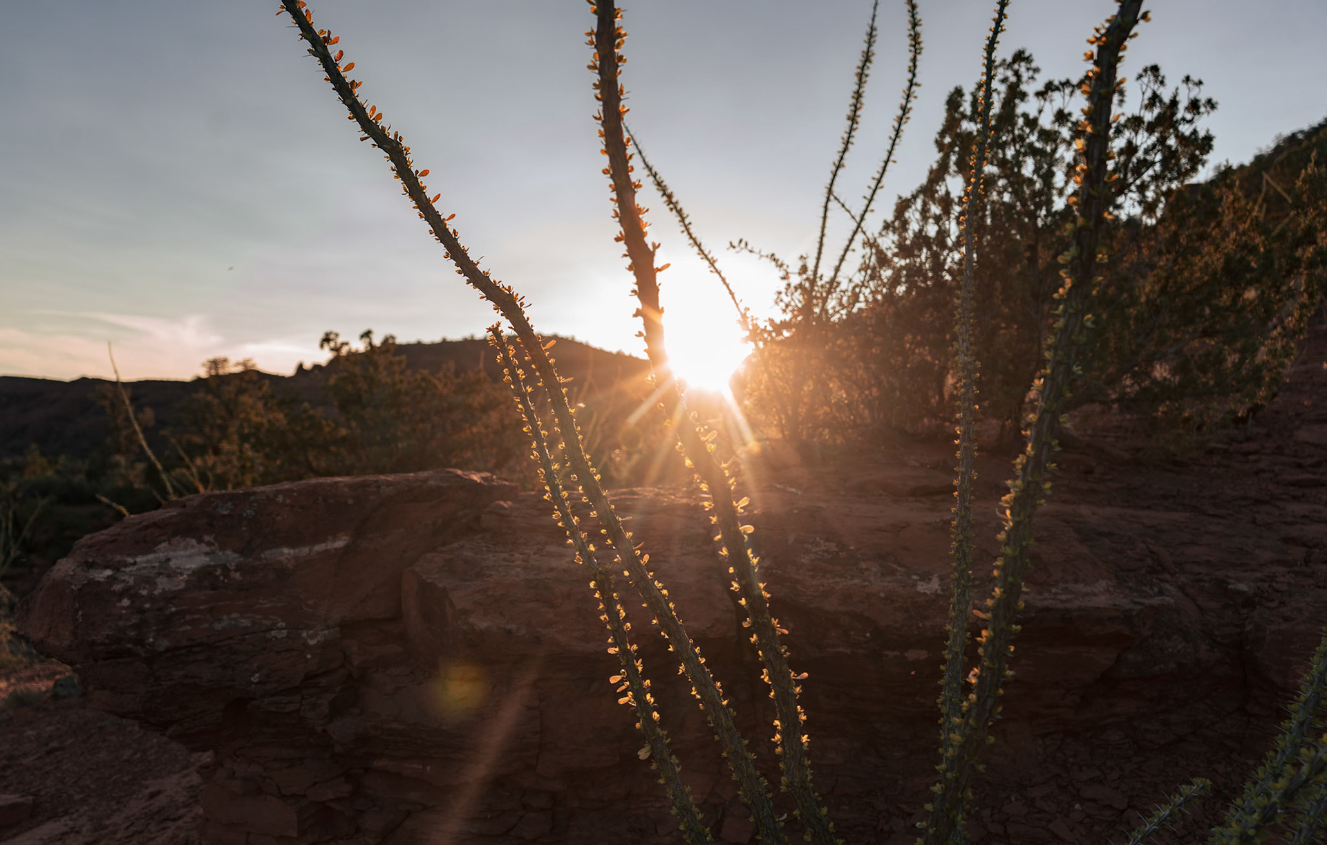 SEDONA TRIP