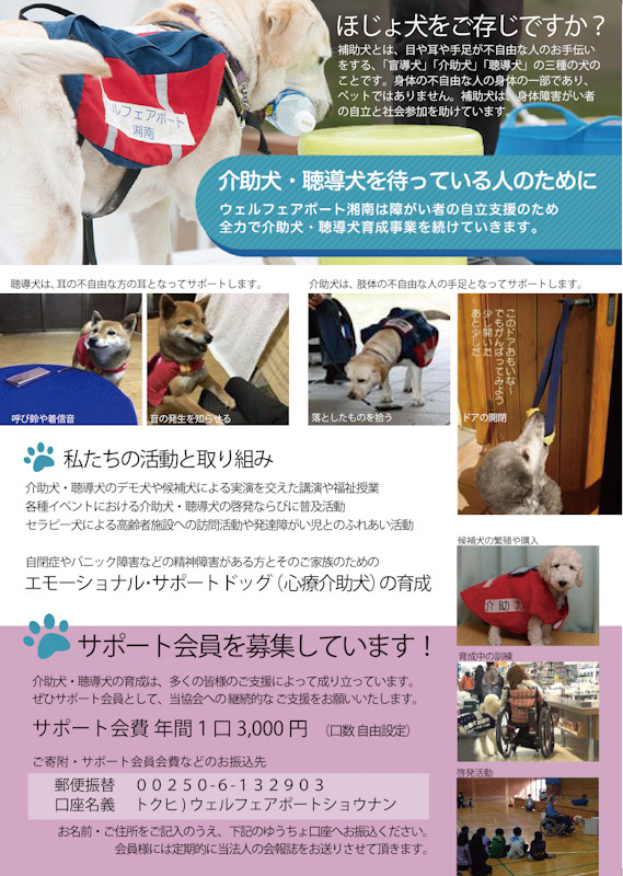 A4_Flyer_back
