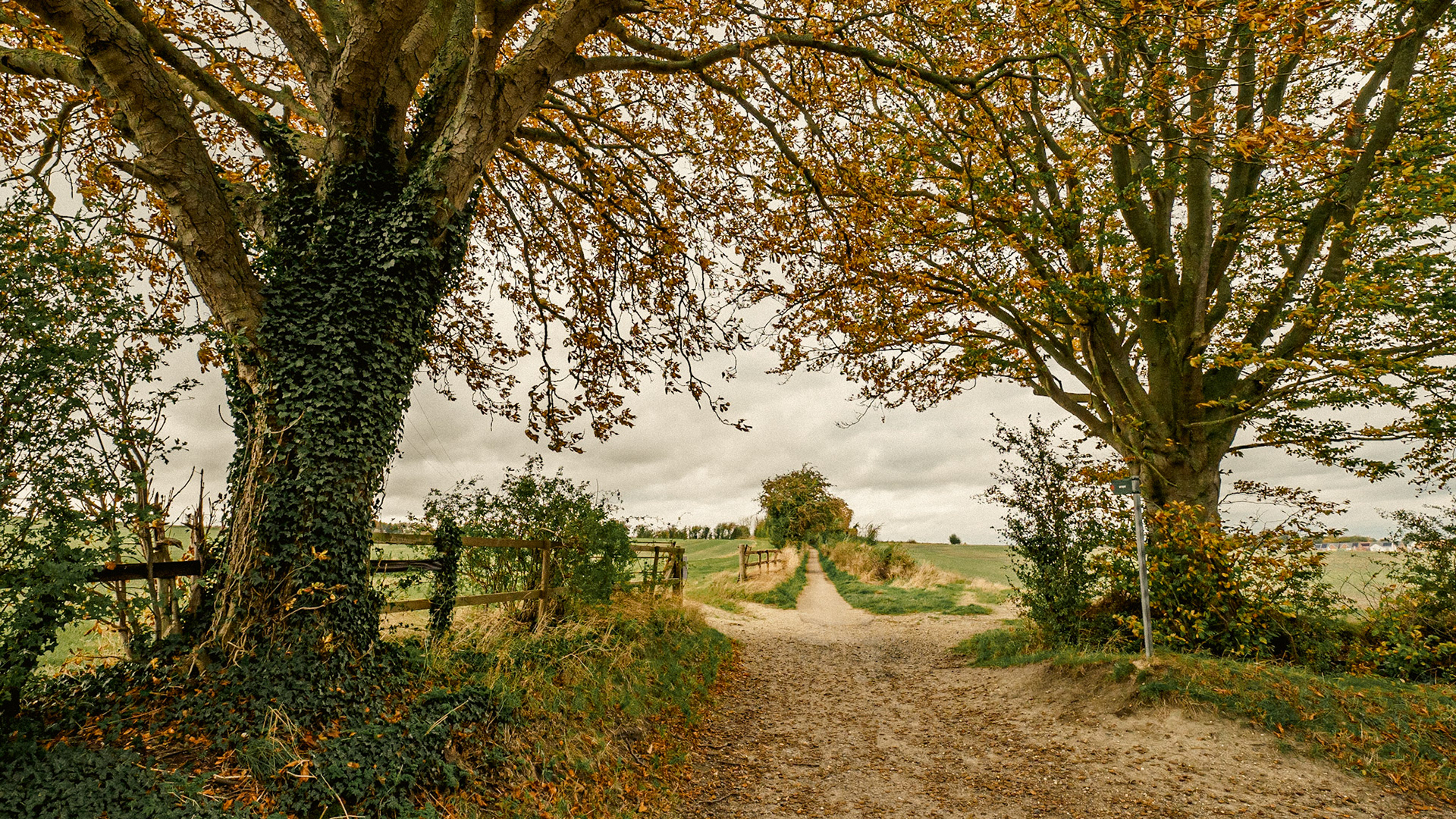 Conker Avenue, West Lockinge, October 2021