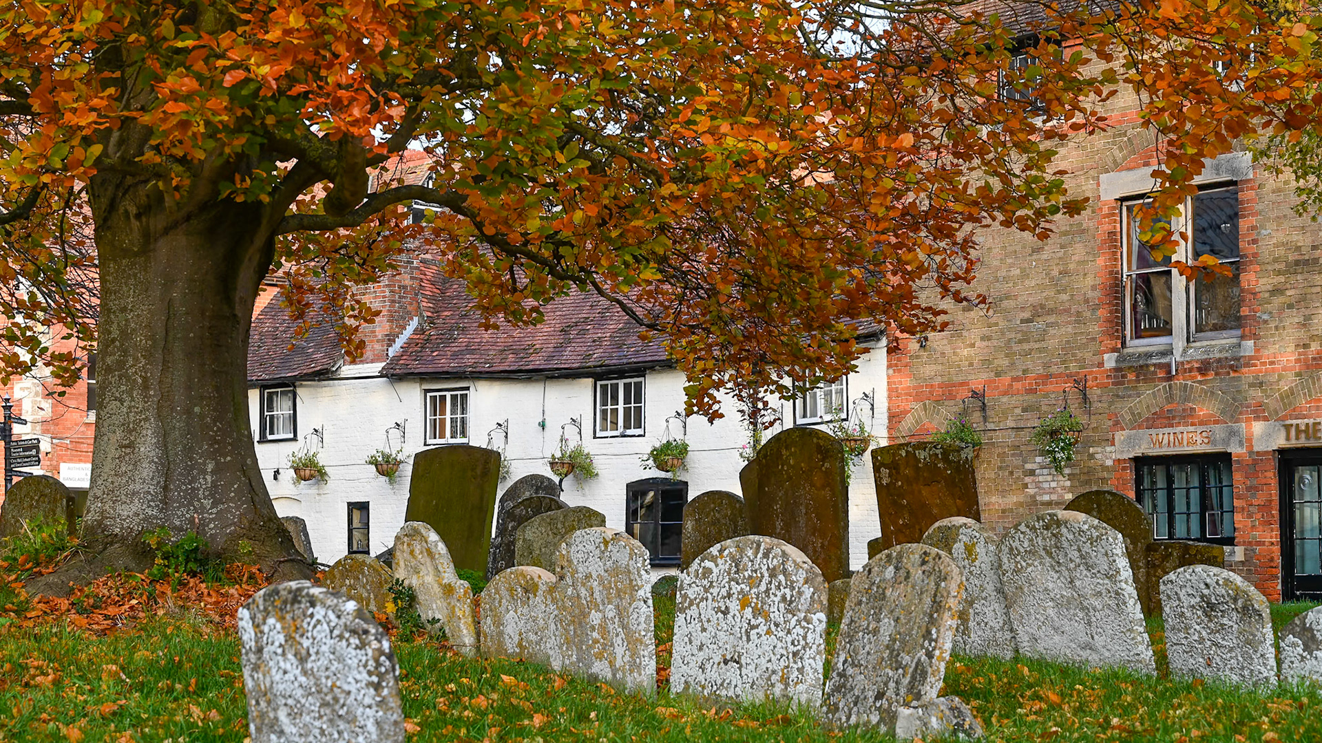 Autumn leaves in Wantage, November 2020