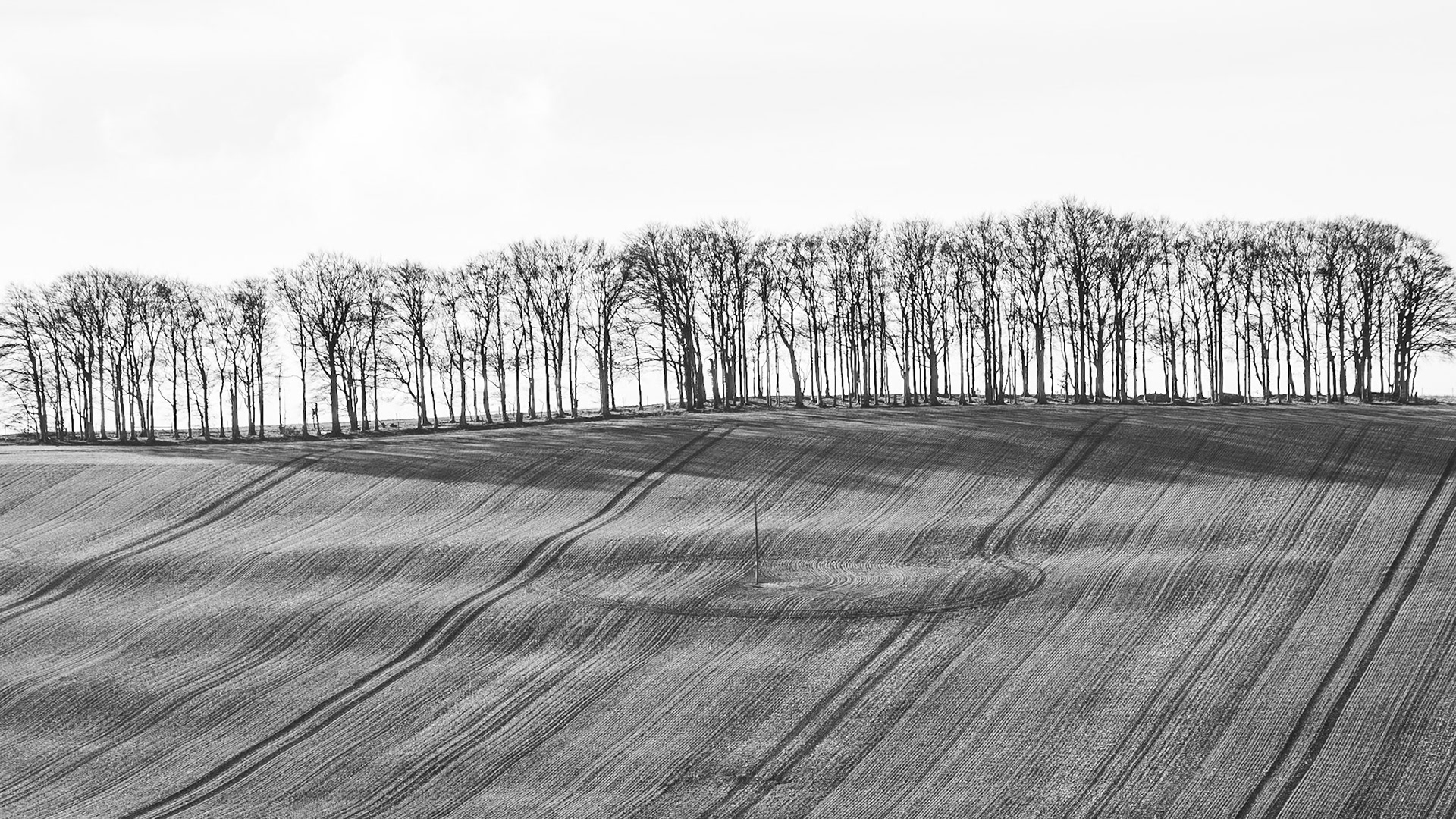 The ridge at Letcombe Bassett, January 2021
