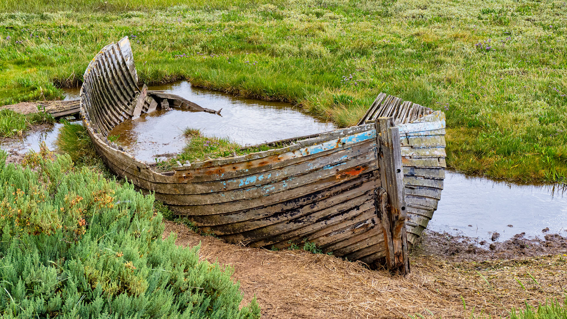 Blakeney, Norfolk, July 2020