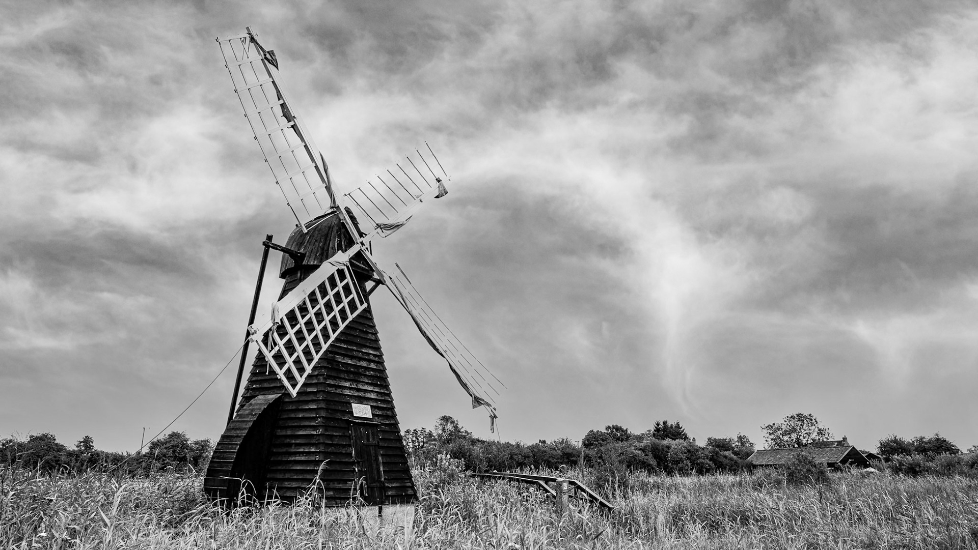Wicken Fen (NT), August 2023