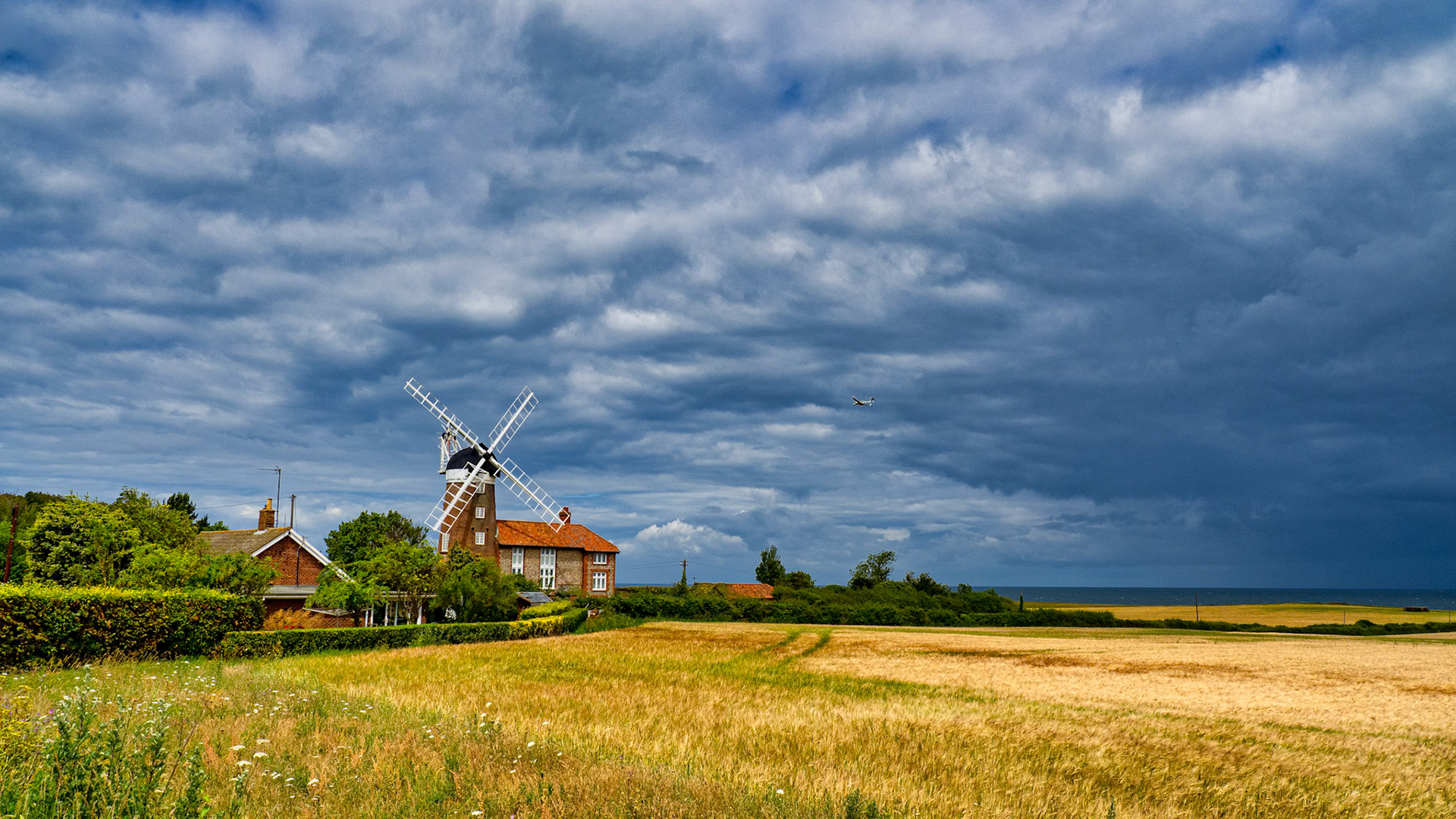 Near Blakeney, Norfolk, July 2020