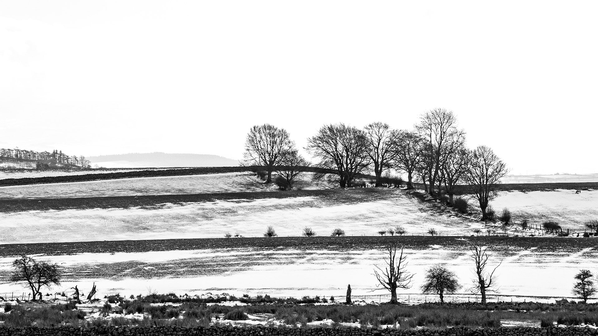 Looking out from Low Todrigg, Lake District, March 2018