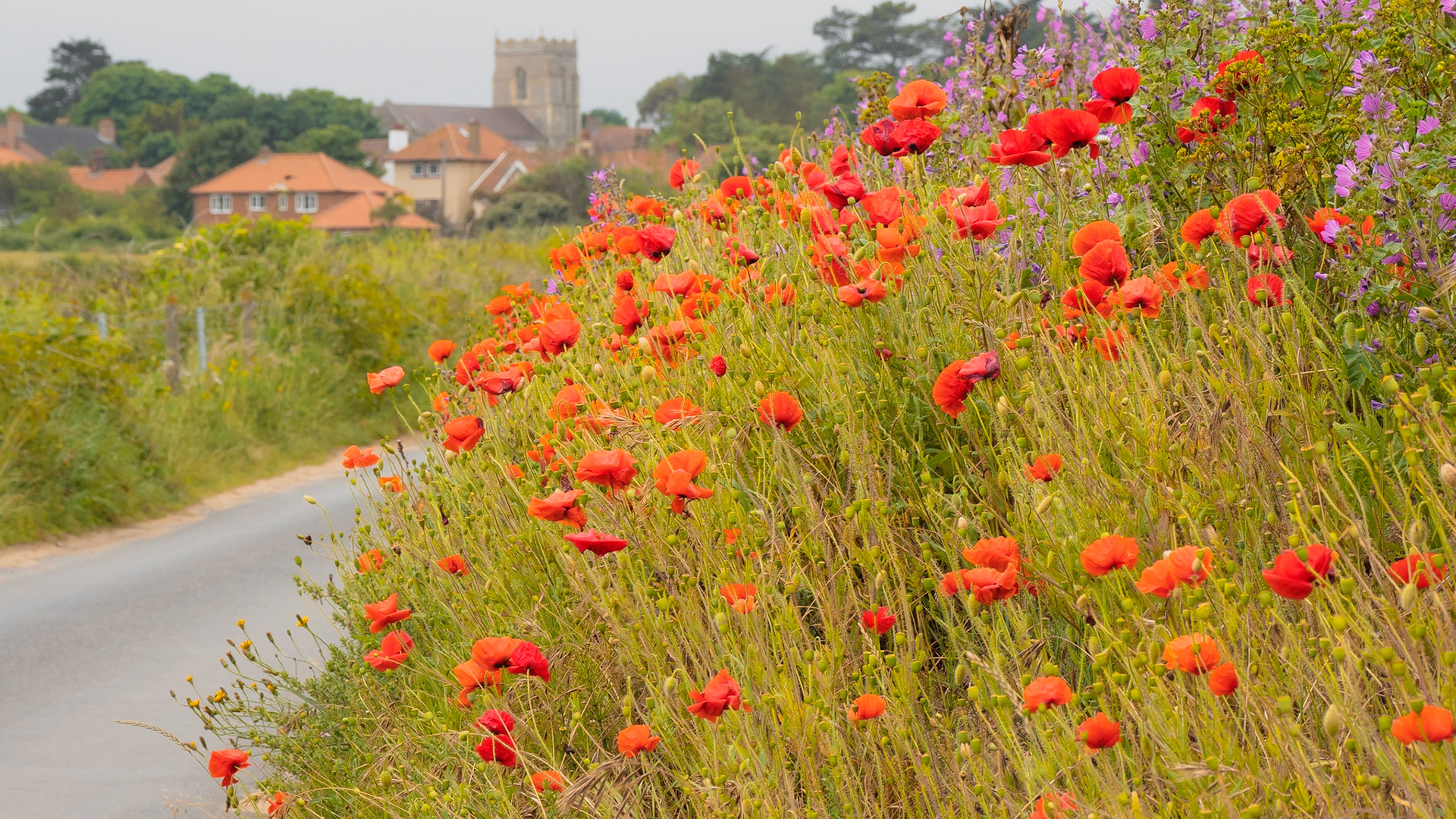Overstrand, Norfolk, June 2021