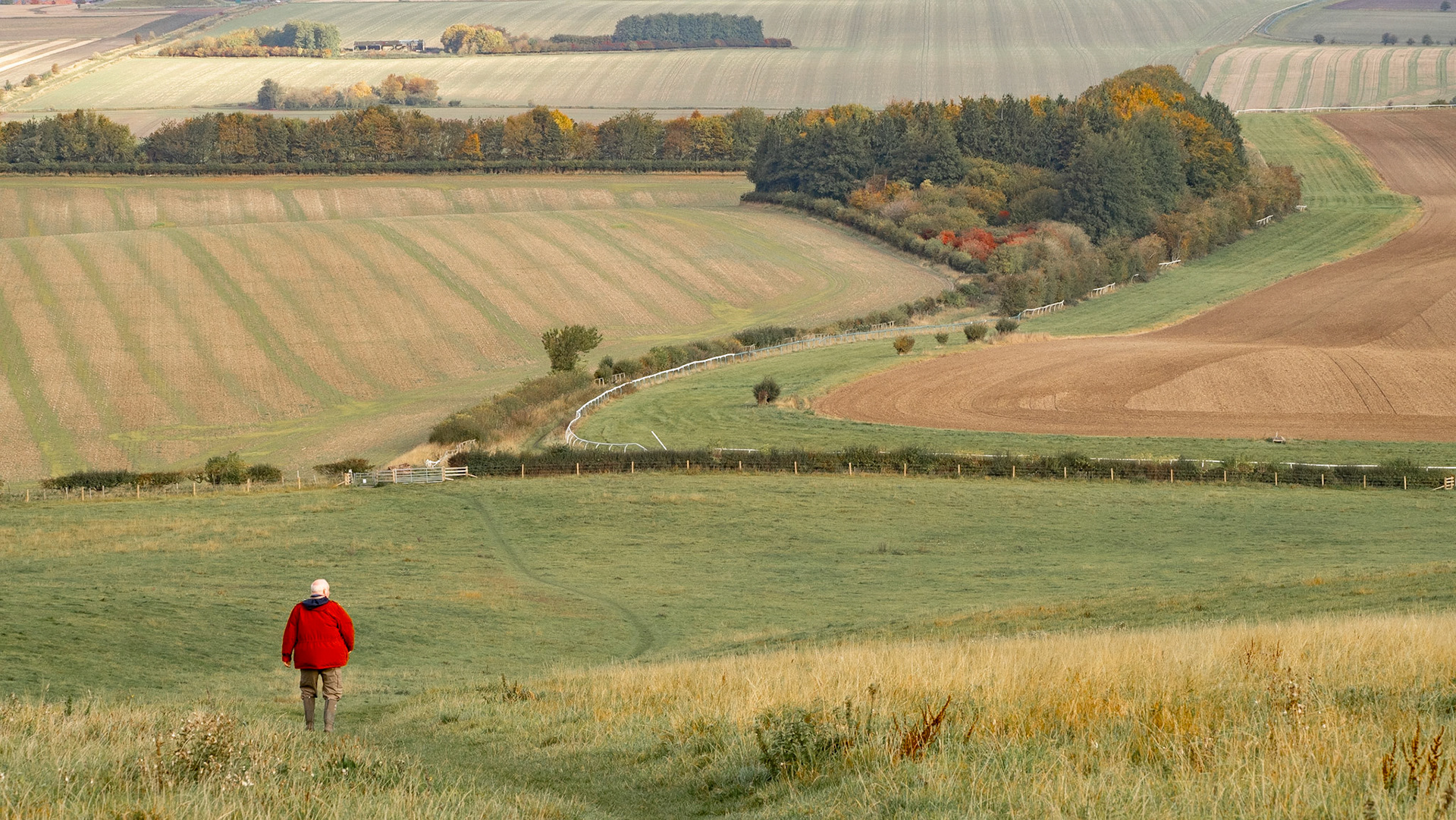 Walking from The Ridgeway to Wantage, November 2020