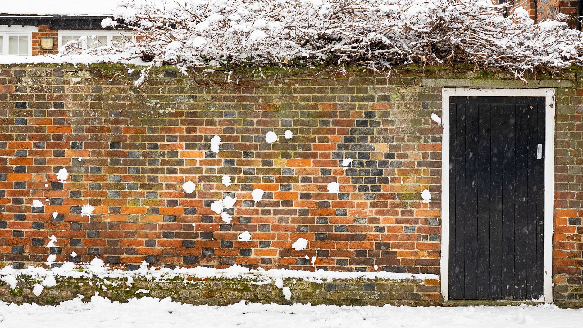 After the snowball fight, Wantage, January 2021