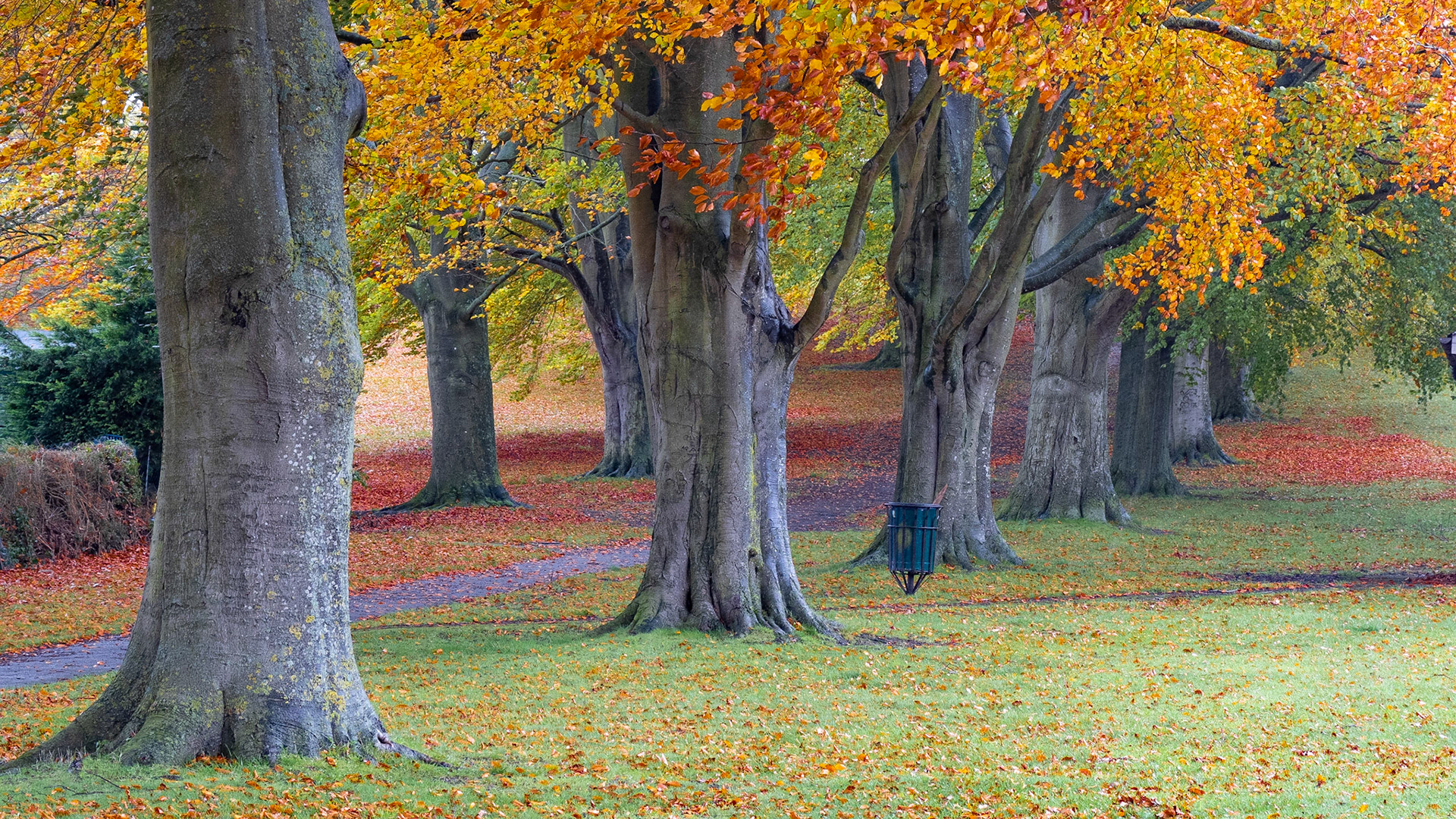 Autumn in Wantage Park, October 2020