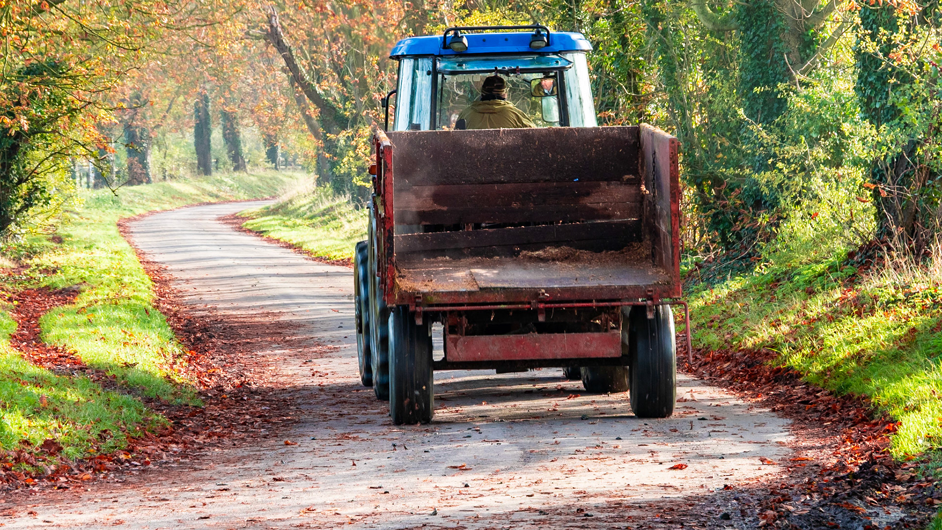 Conker Avenue, West Lockinge, October 2019
