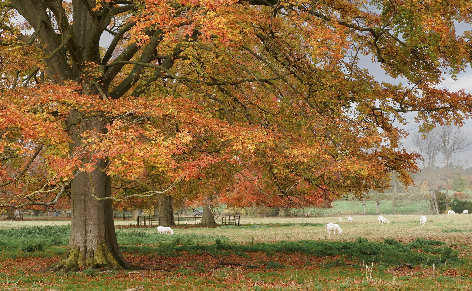 West Lockinge cycle ride, November 2021