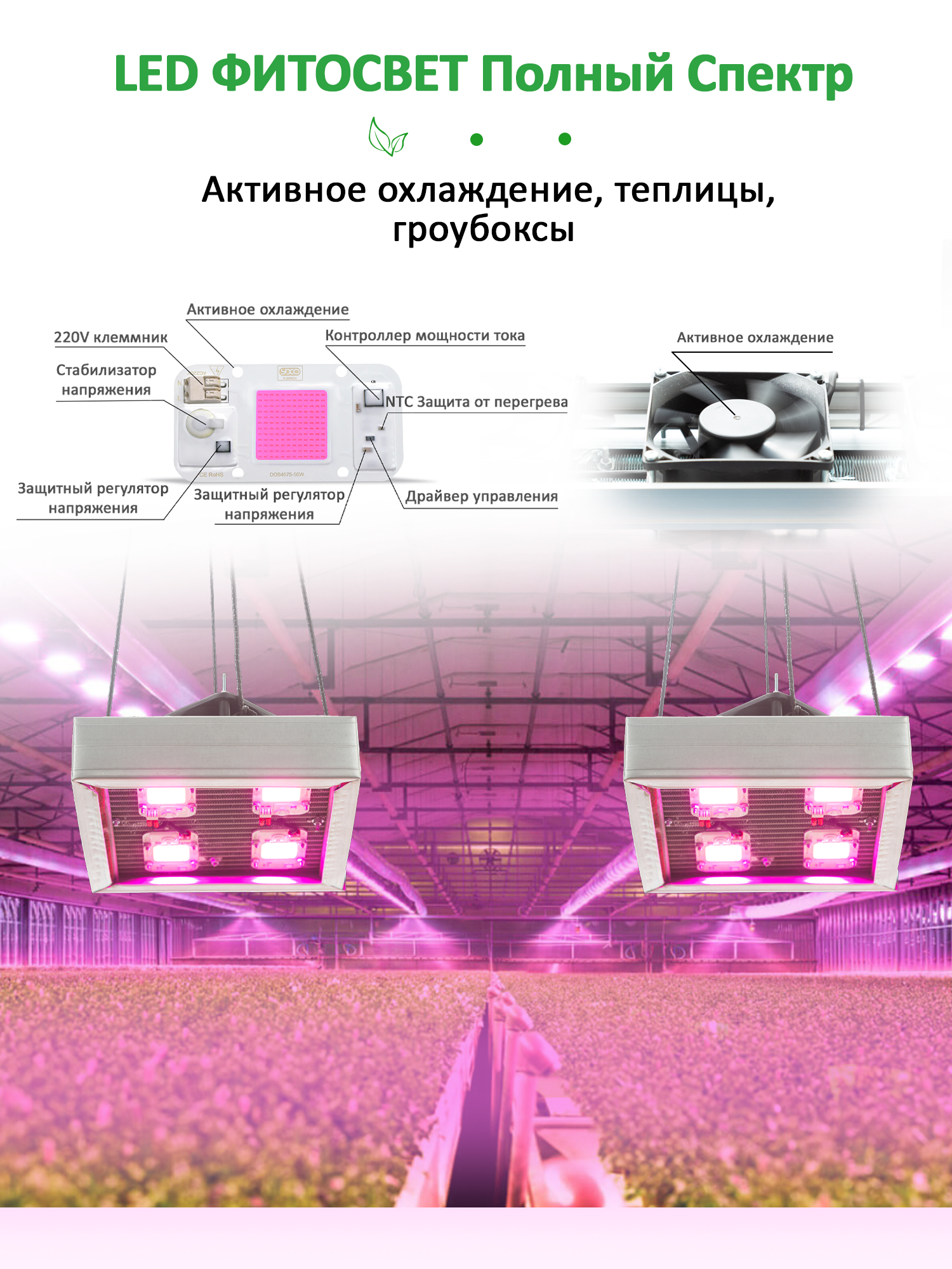 карточка вайлдберриз фитолампа
