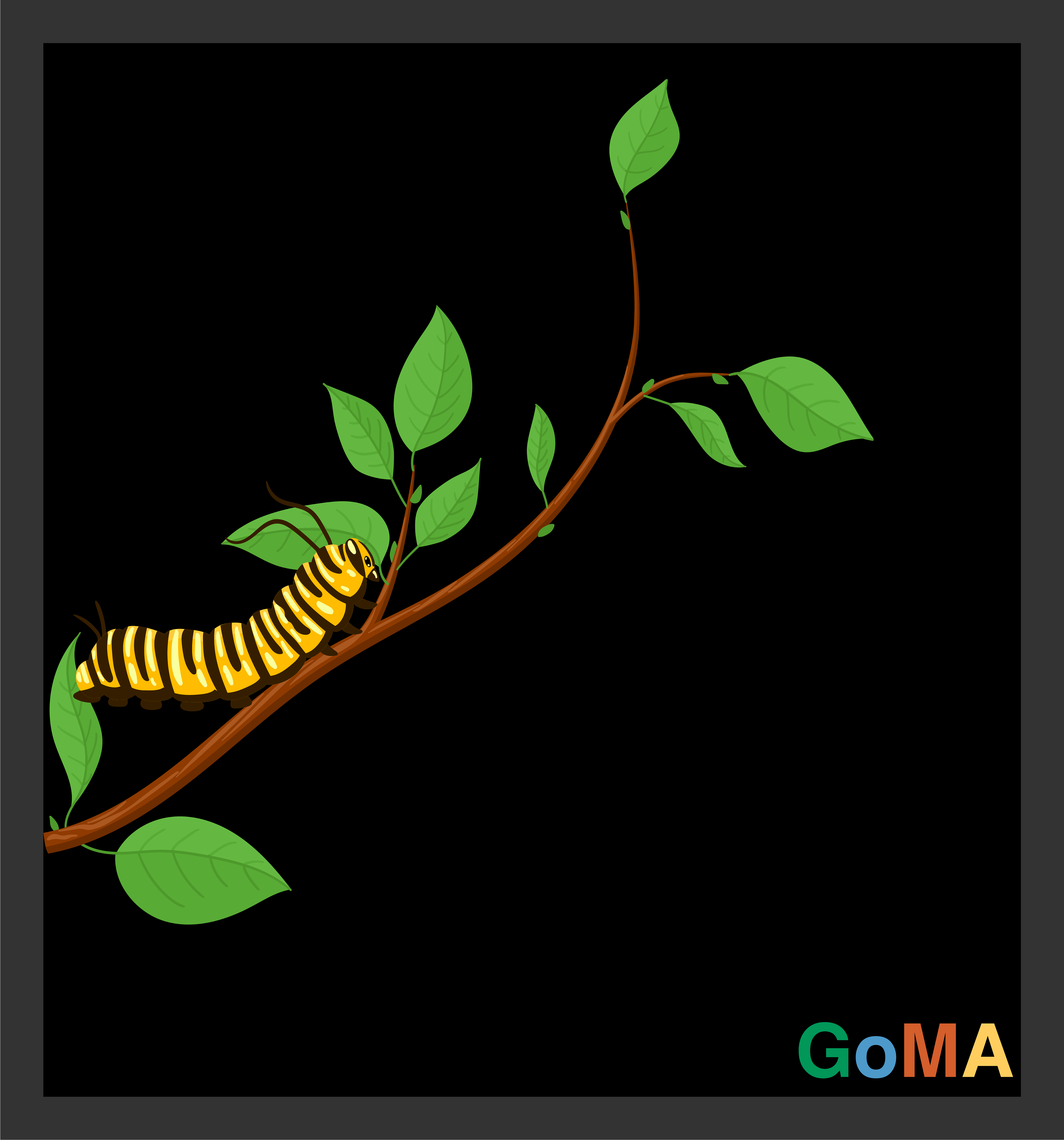 The middle of the transformation