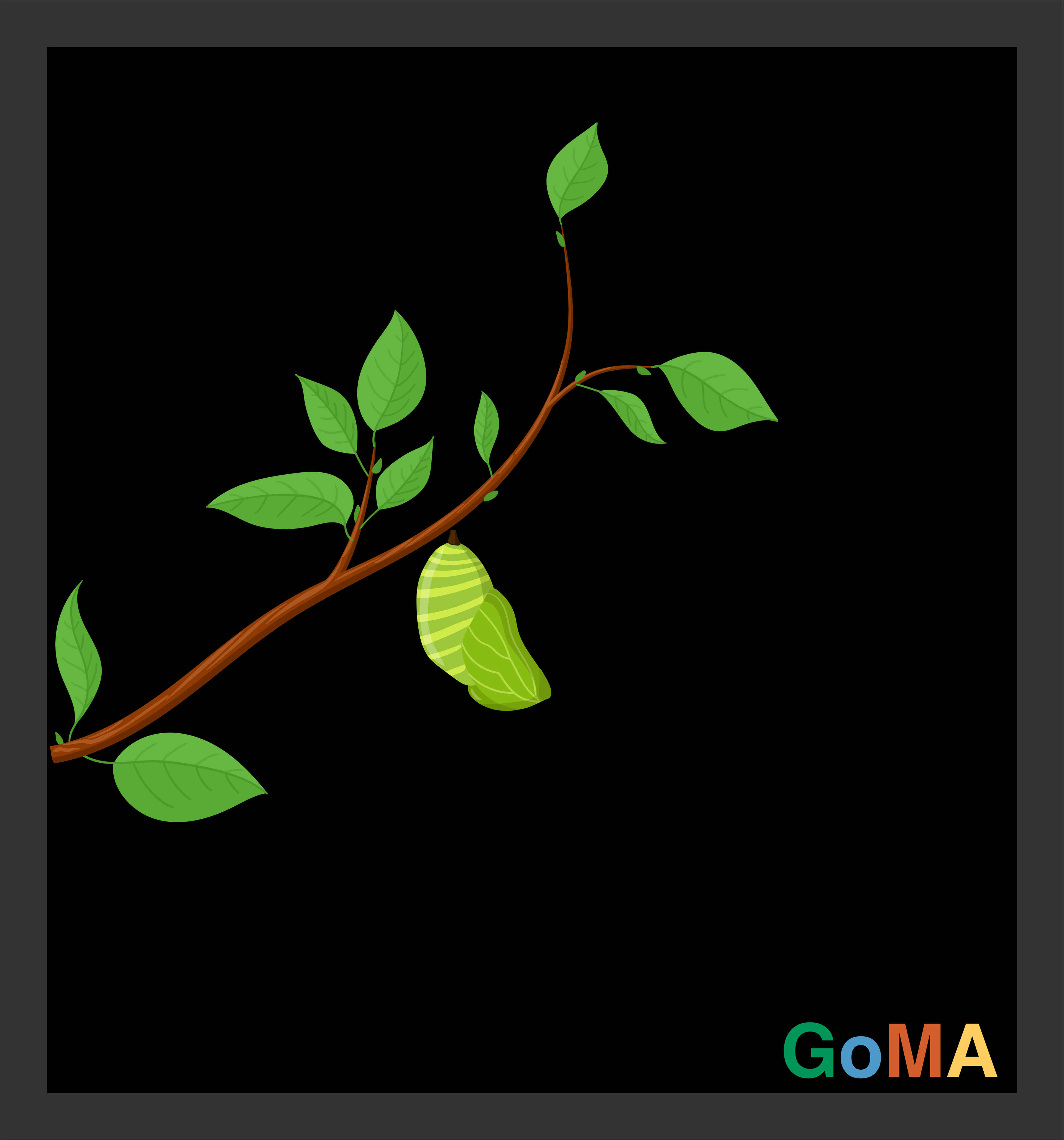 The start of the transformation