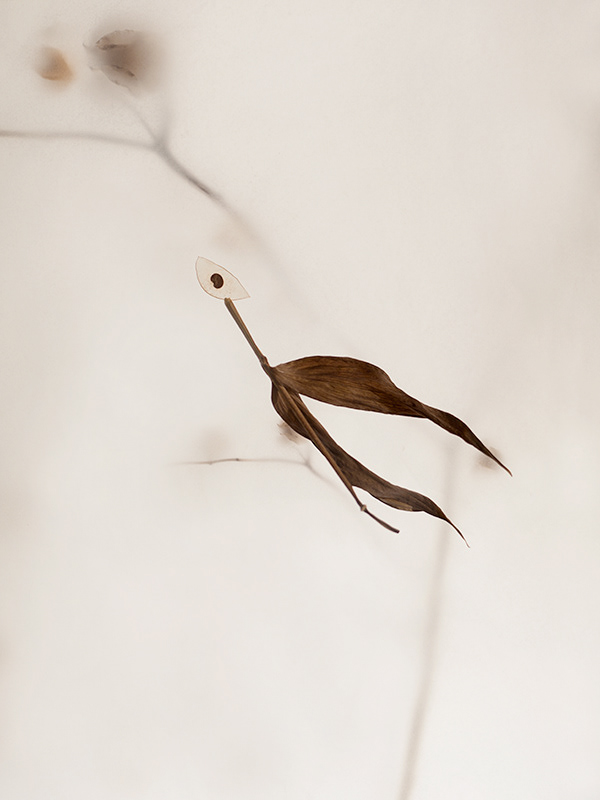 Vagabundus caelestis – These bioforms are flying entities observed worldwide regardless of the prevailing weather conditions. Feeding on particles of cosmic dust, they emit sounds inaudible to the human ear, which are often mistakenly interpreted by astrophysicists as the sound of the cosmos. Vagabundus is active both during the day and at night. Preliminary observations have confirmed that it possesses teleportation abilities, allowing it to traverse vast distances in fractions of a second.