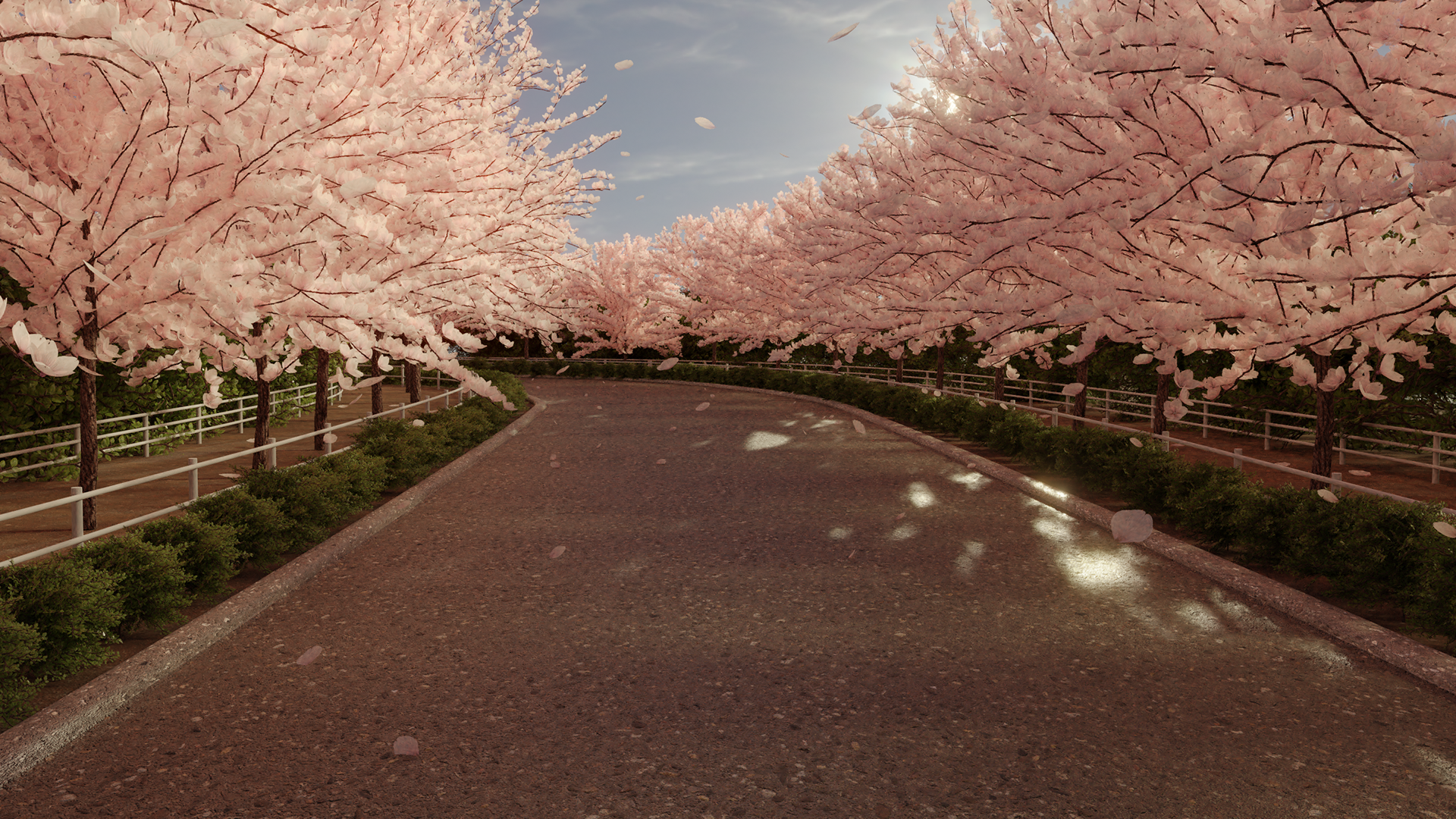 On The Hillside Road Where the Cherry Blossoms Flutter - 2024