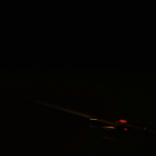 Fiery Blade - 2021