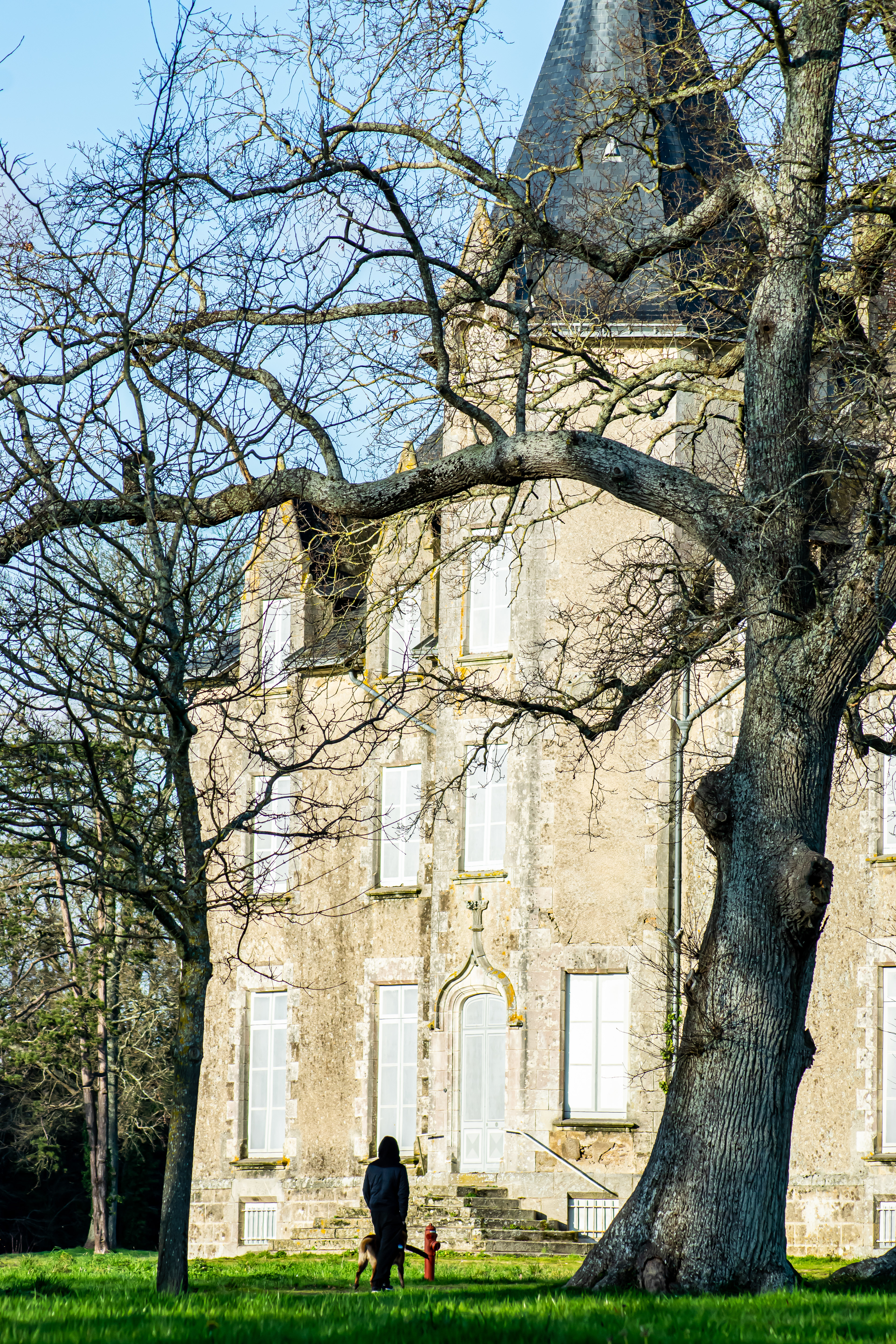 Château de Beaupuy, Mouilleron-le-Captif , Vendée photo 75