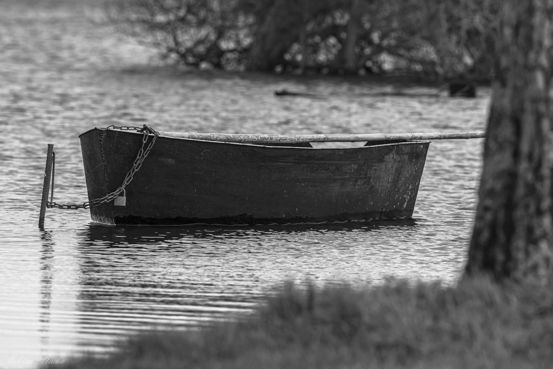 Petit port de pêche de Sainte Lumine, petite barque de pêcheur, Lac de Grand Lieu, photo 20