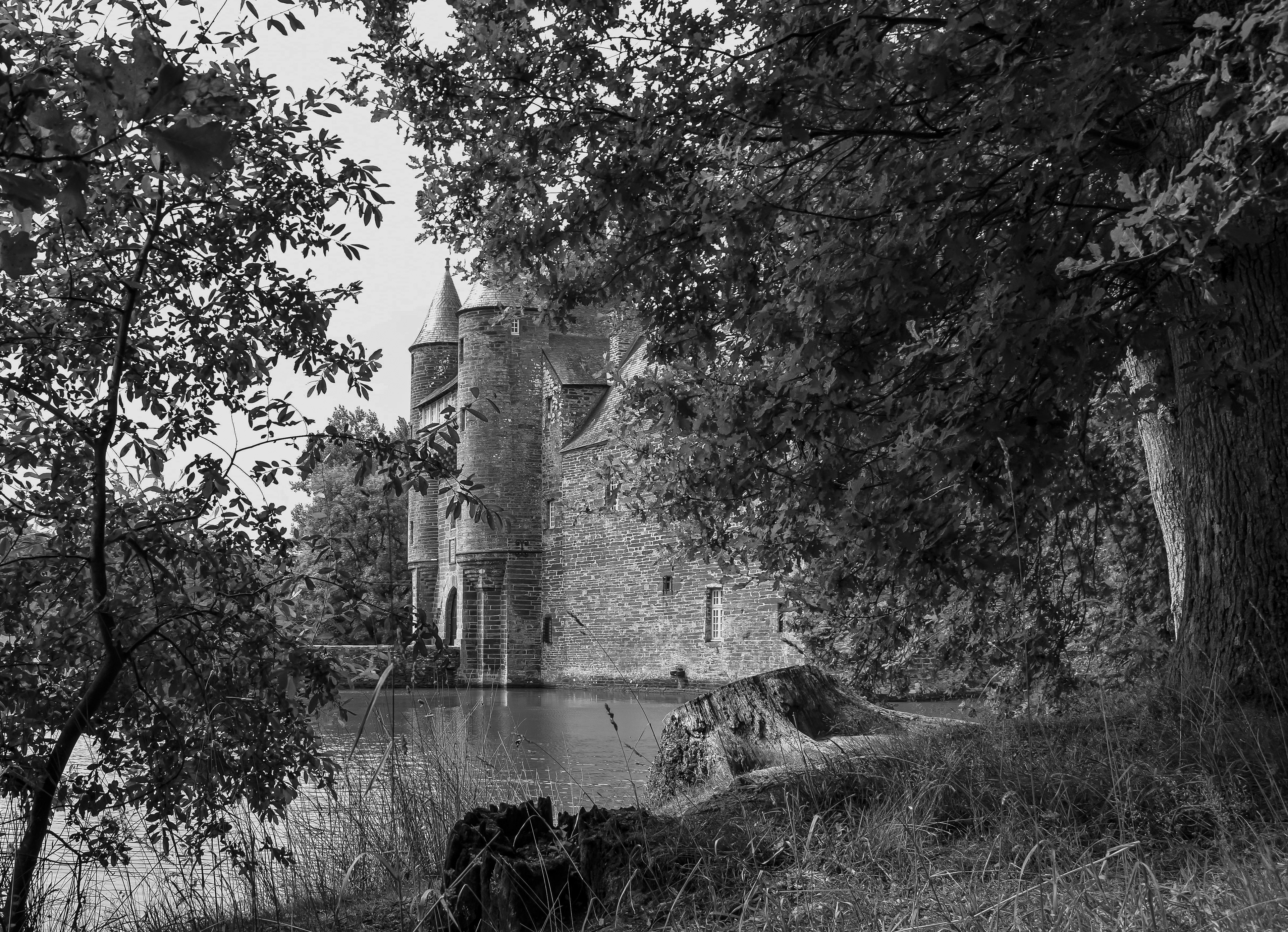 Château de Trécesson en Bretagne, à proximité de la forêt de Paimpont-Brocéliande, France photo 63