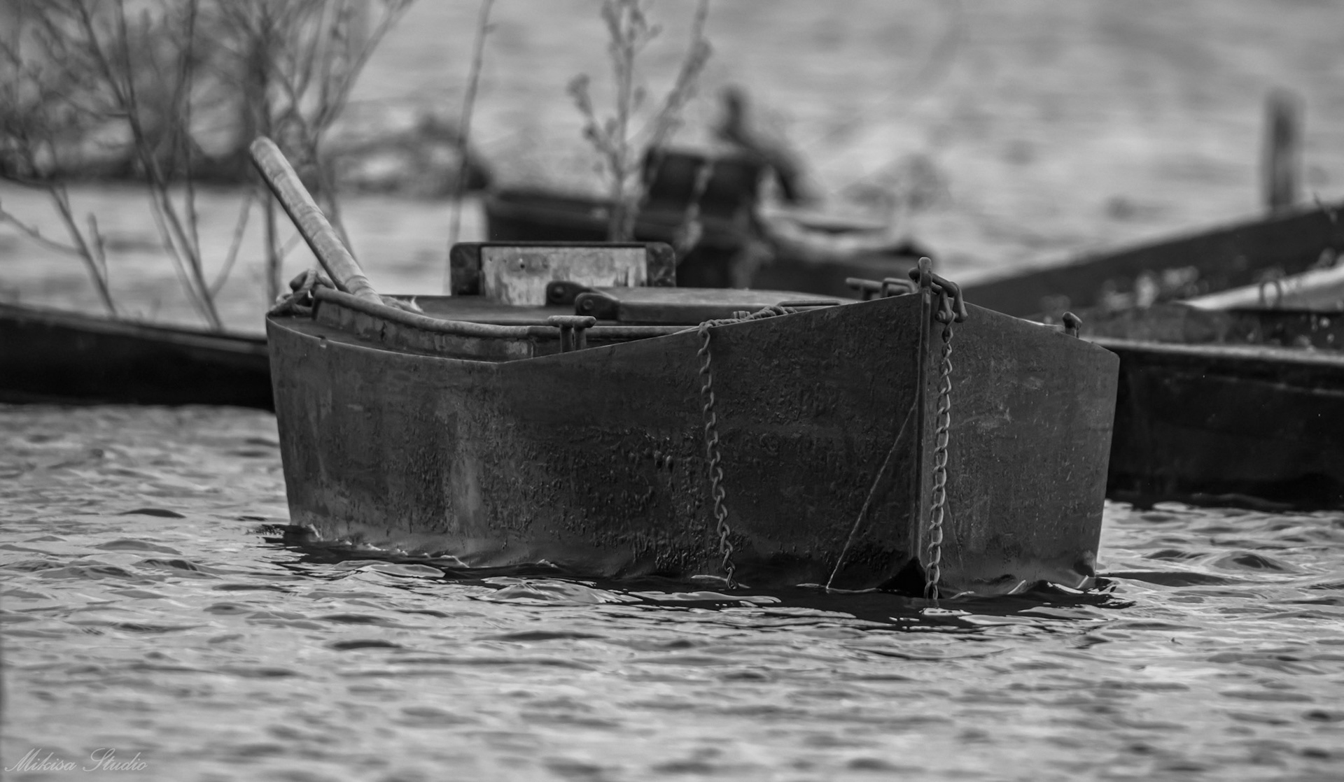 Petit port de pêche de Sainte Lumine, petites barques de pêcheur, Lac de Grand Lieu, photo 21